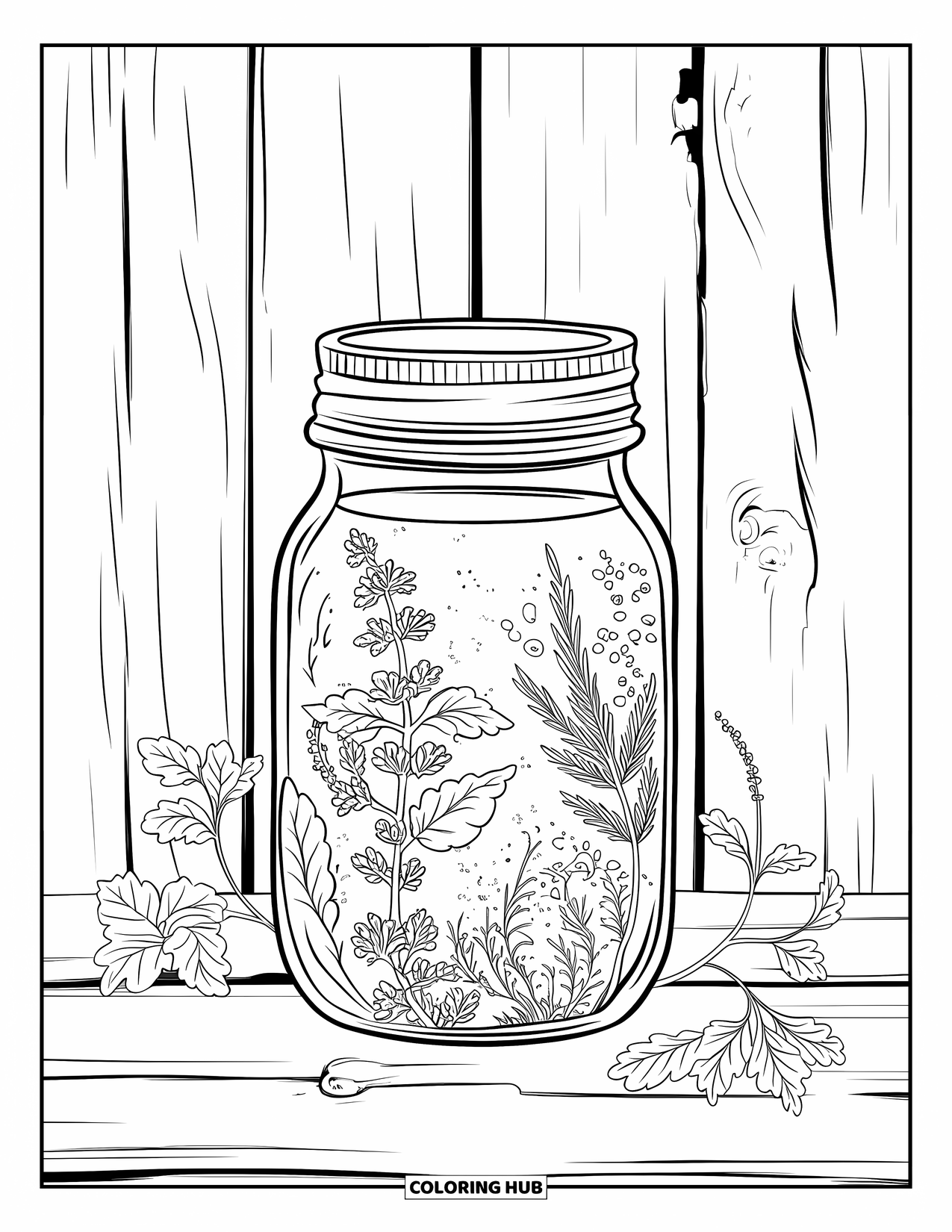 Healthy Food Coloring Page for Adults: Jar of herb water with vines on an aged wooden background