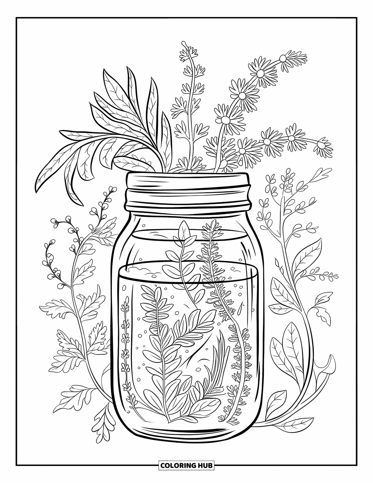 Healthy Food Coloring Page for Adults: Mason jar of infused water surrounded by herbs and vines