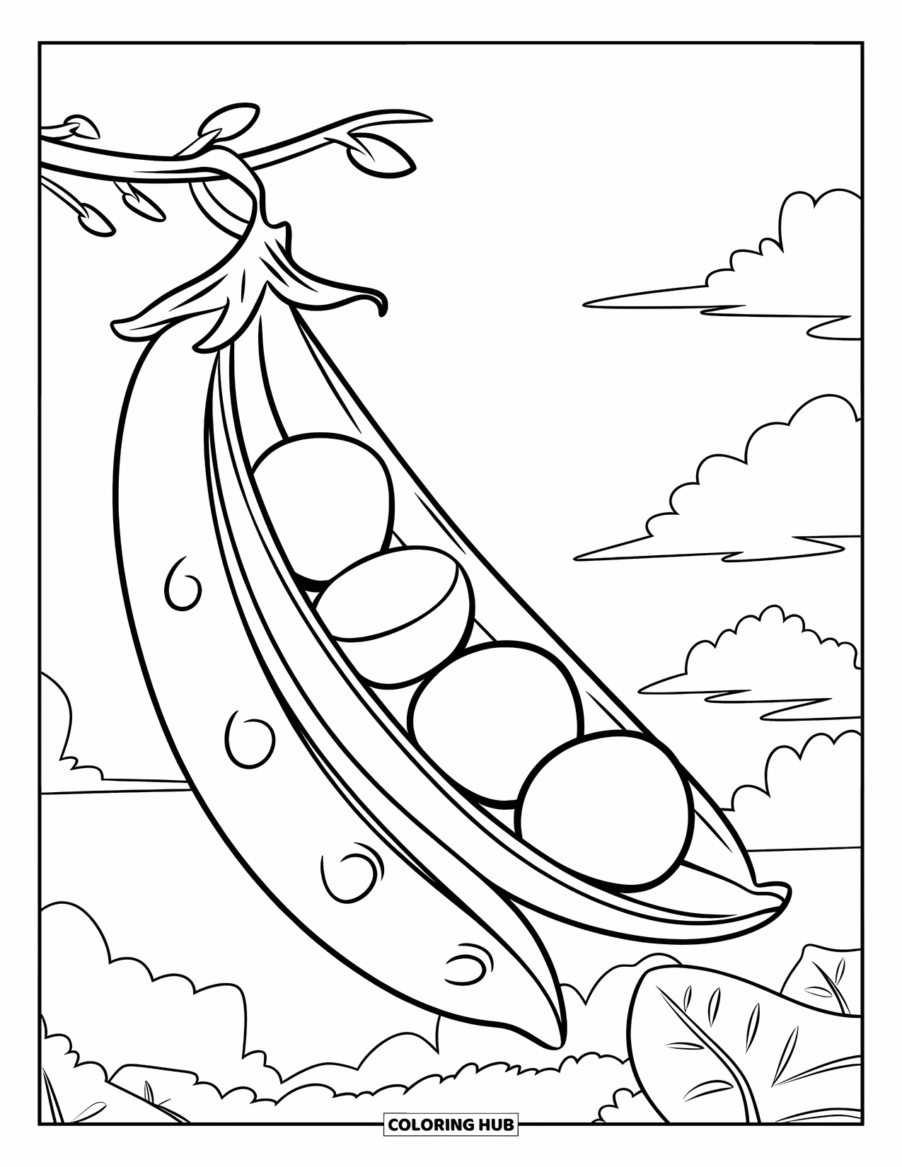 Healthy Food Coloring Page for Kids: Open pea pod hanging from a branch under the sky