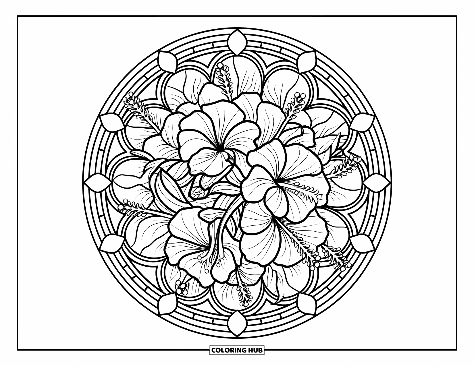 Hibiscus Coloring Page for Adults: Stained-glass circle with hibiscus flowers and flowing designs