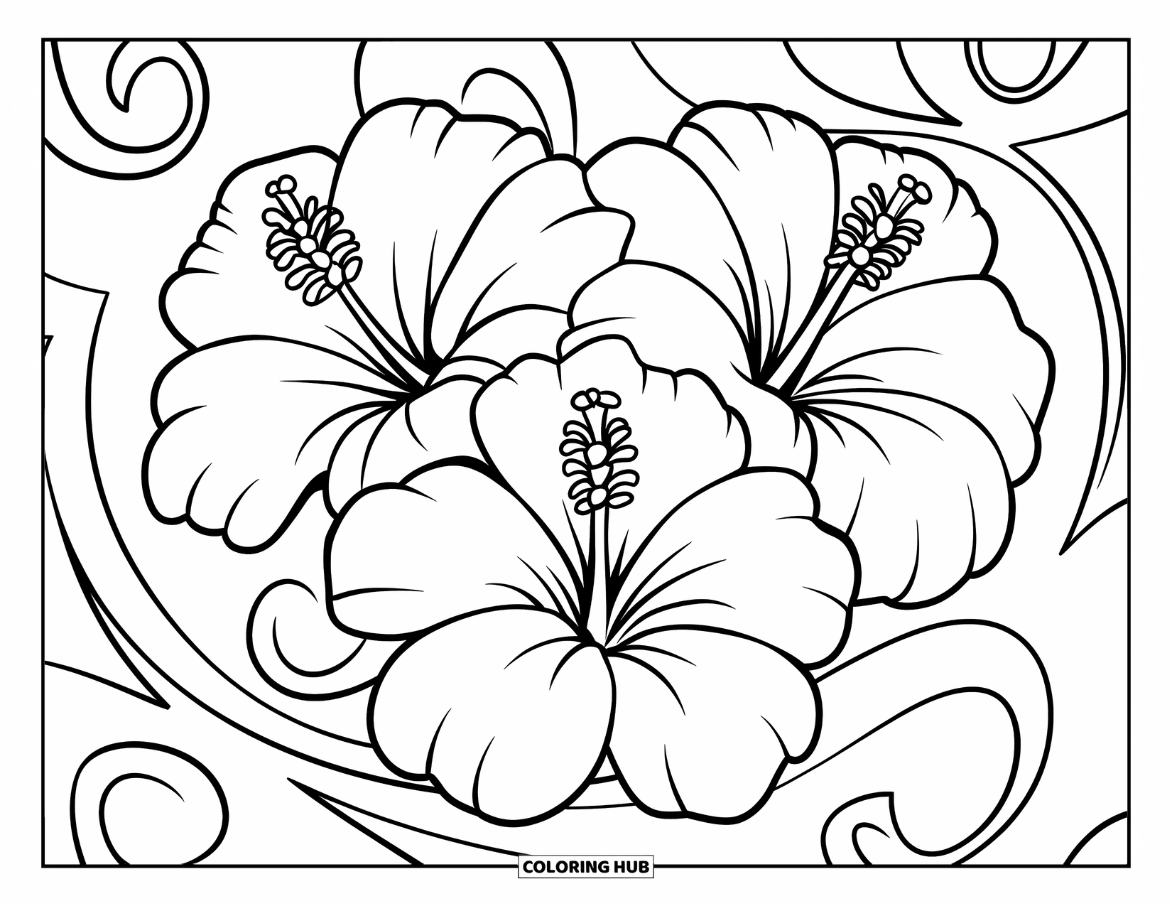 Hibiscus Coloring Page for Kids: Bold hibiscus trio with swirling accents around each bloom