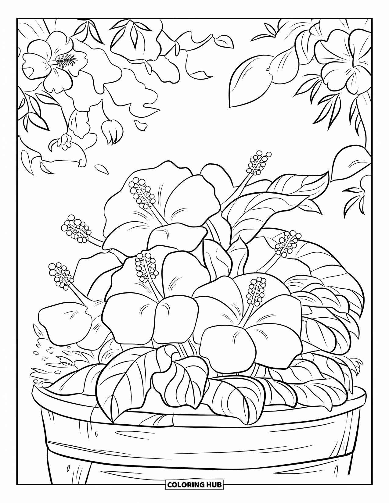 Hibiscus Coloring Page for Kids: Bright hibiscus flowers in a leafy garden bed with pink blooms