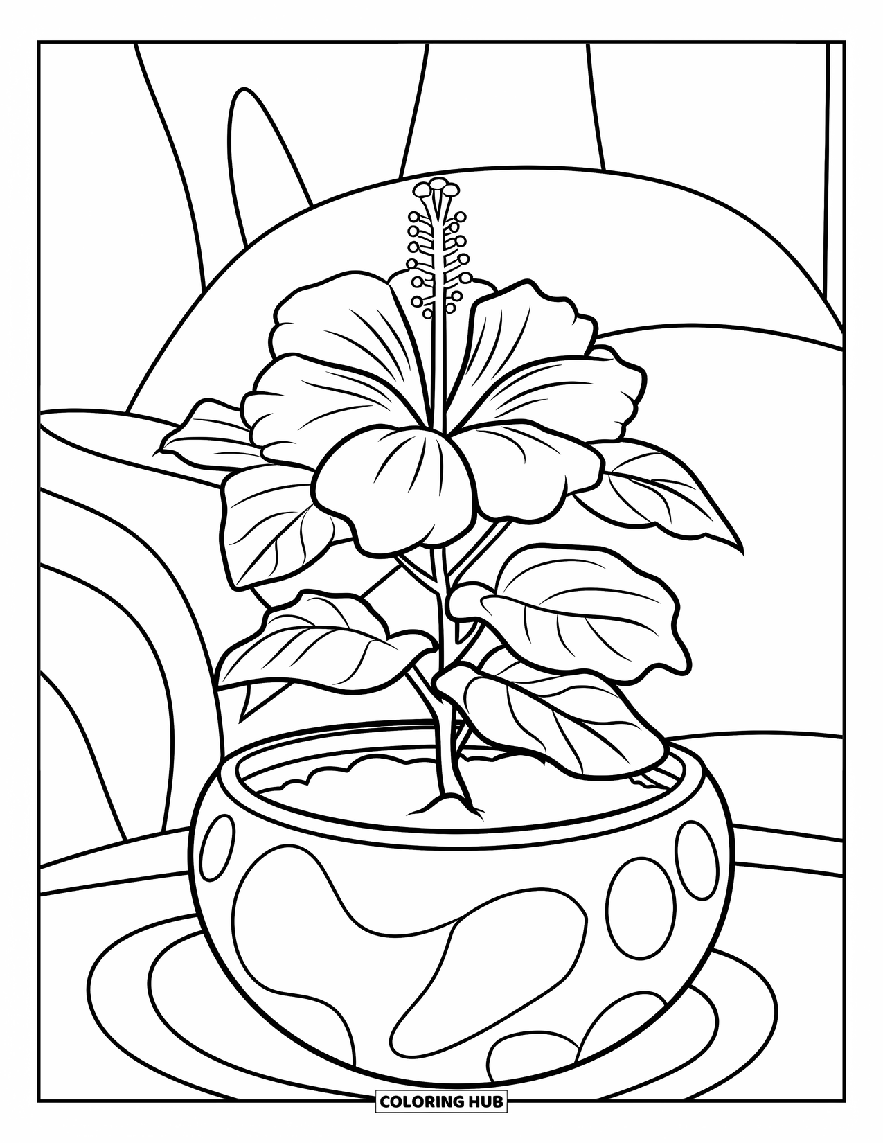 Hibiscus Coloring Page for Kids: Curvy pot holding a big hibiscus plant with many petals