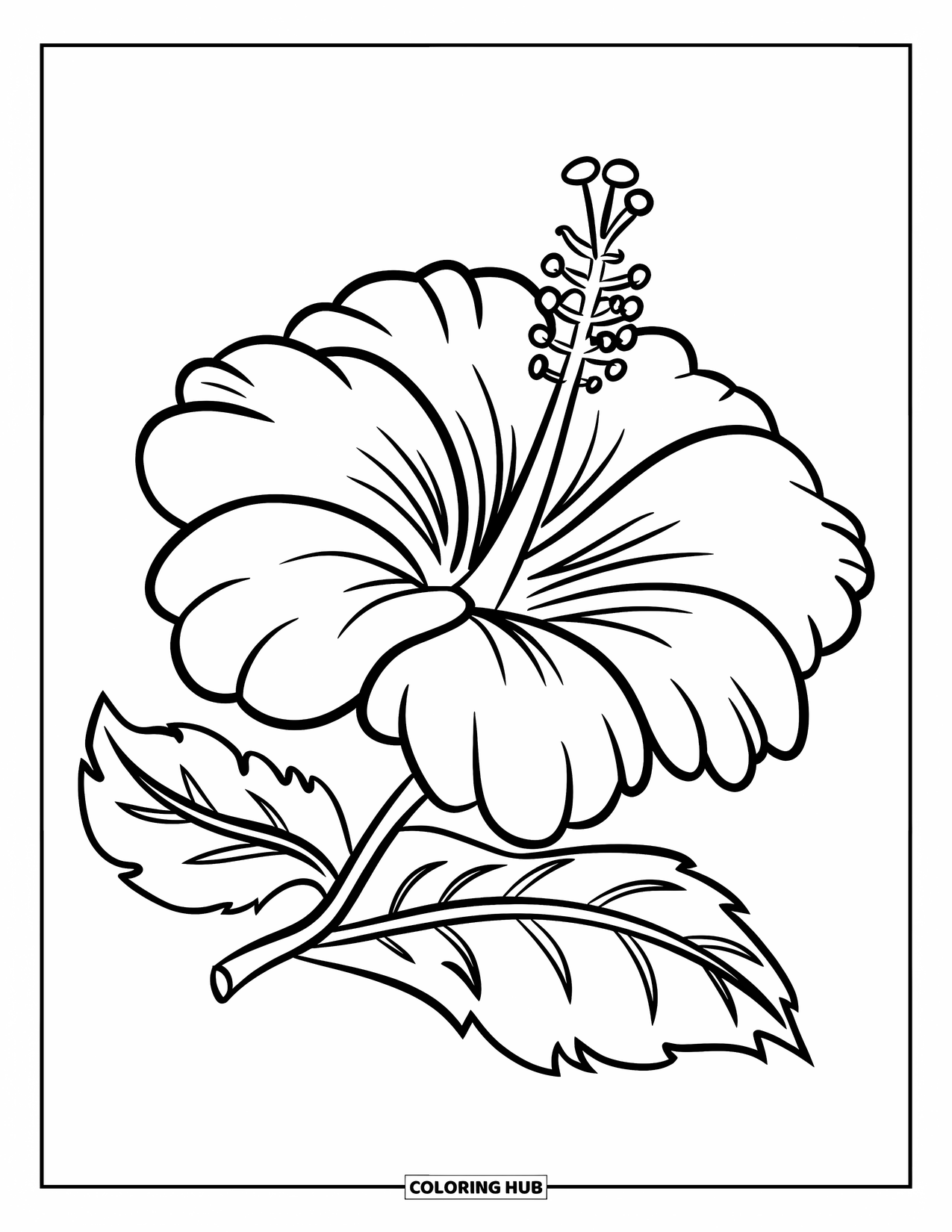Hibiscus Coloring Page for Kids: Hibiscus flower and leaf drawn in a fun, cartoon style