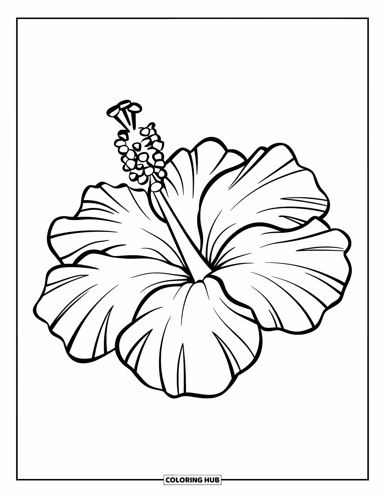 Hibiscus Coloring Page for Kids: Large hibiscus bloom with big petals and a bold yellow center