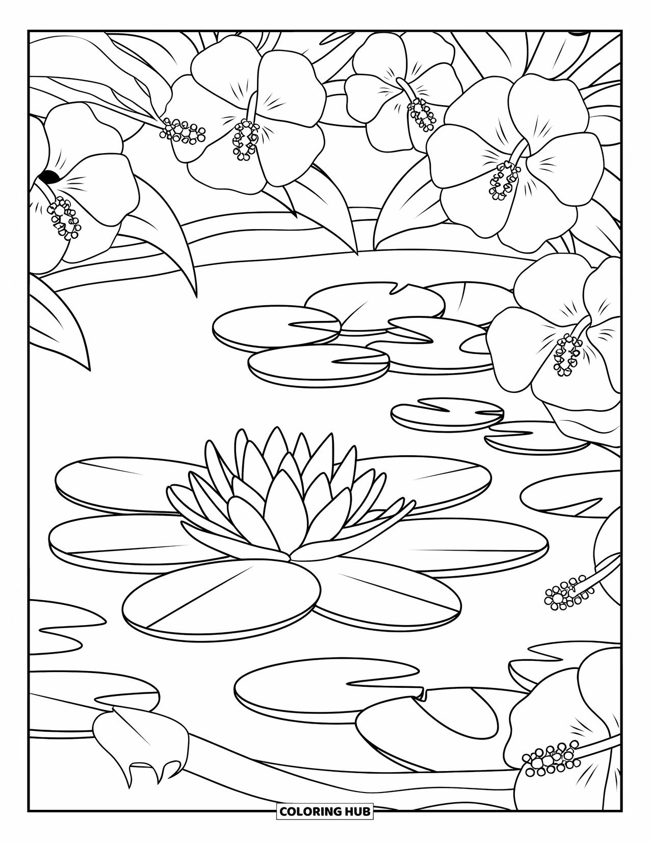 Hibiscus Coloring Page for Kids: Pond scene with bold hibiscus flowers and lily pad