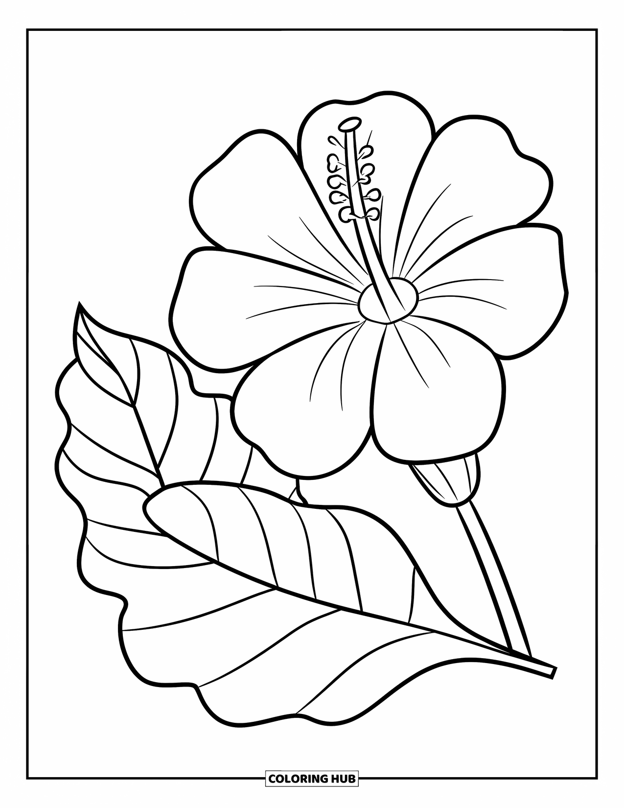 Hibiscus Coloring Page for Kids: Simple hibiscus flower and leaf with big, cheerful shapes