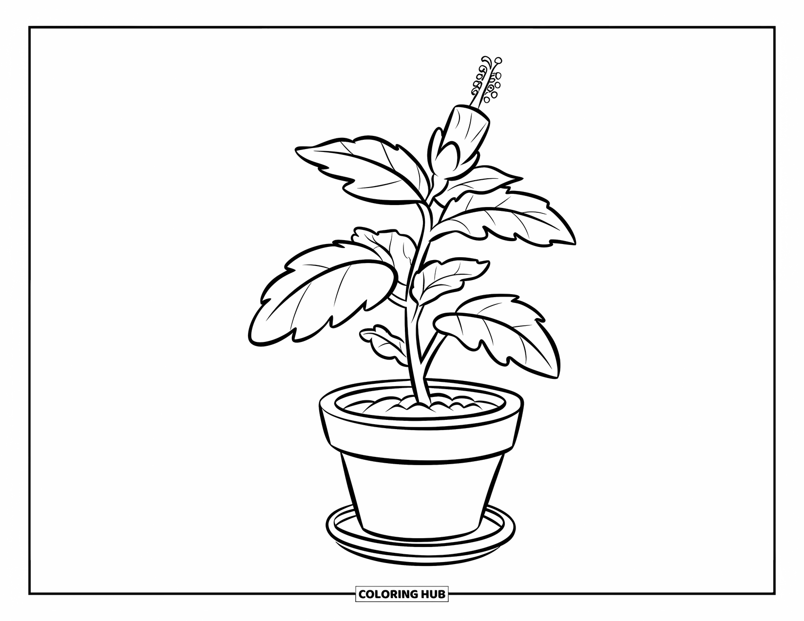 Hibiscus Coloring Page for Kids: Small hibiscus sprout growing in a cute plant pot