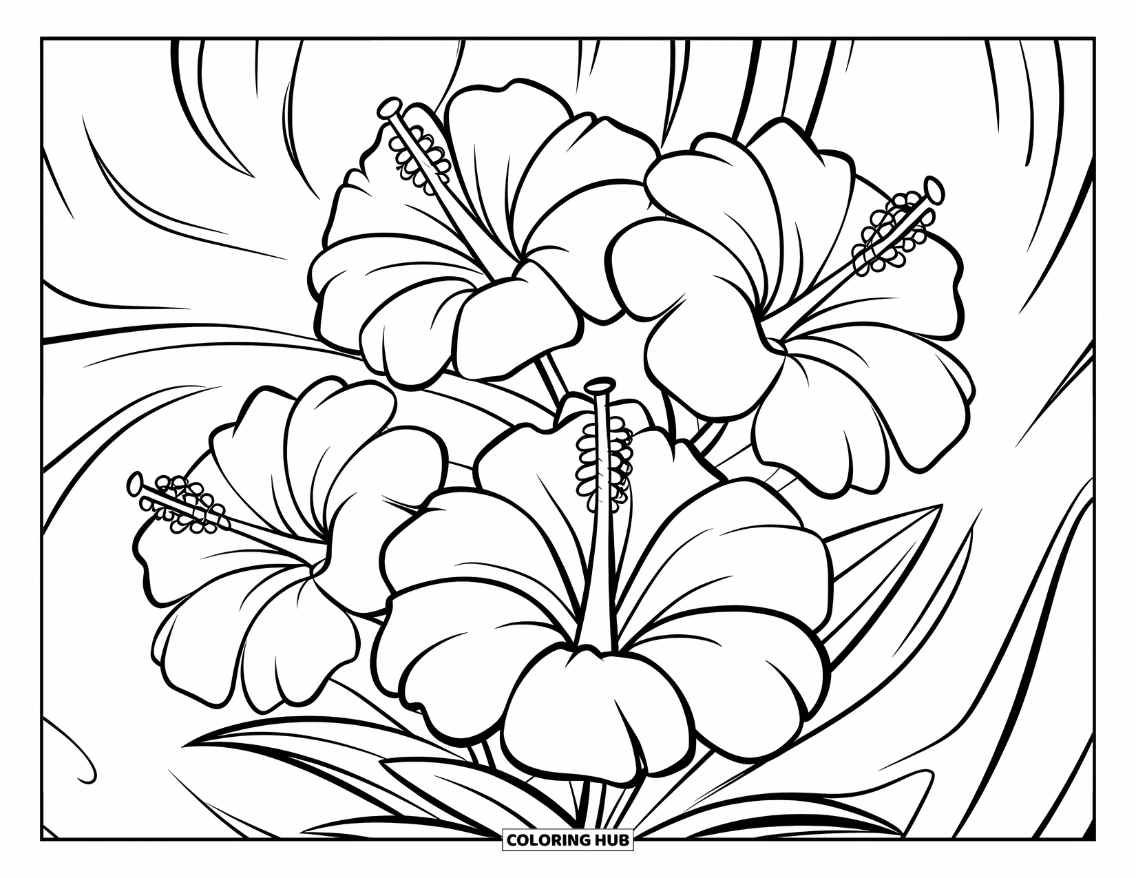 Hibiscus Coloring Page for Kids: Three blooming hibiscus flowers surrounded by playful swirl patterns