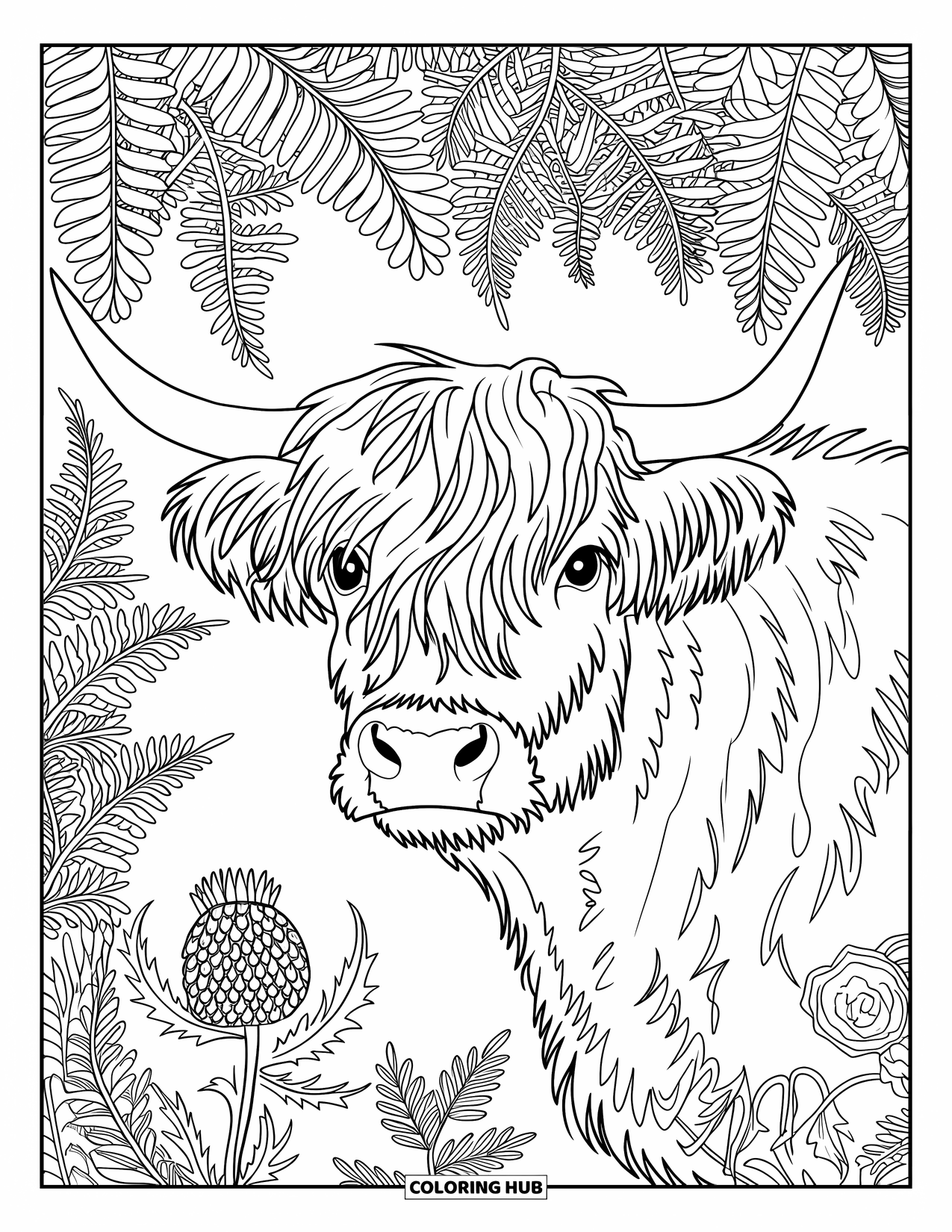 Highland Cow Coloring Page for Adults: A curly-haired cow's head peeks through wild roses, thistles, and fern fronds