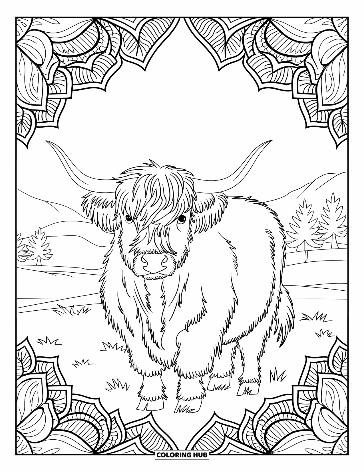 Highland Cow Coloring Page for Adults: A long-haired cow is framed by soft mandala shapes and leafy branches