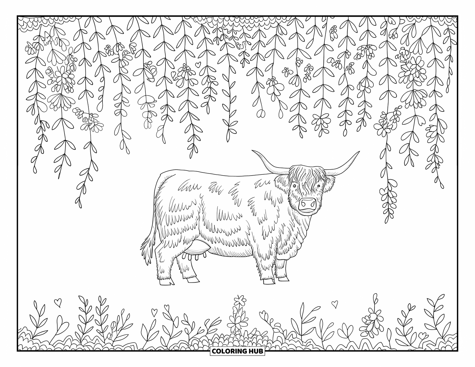 Highland Cow Coloring Page for Adults: A long-horned cow is framed by flowers, leafy hearts, and mossy curls