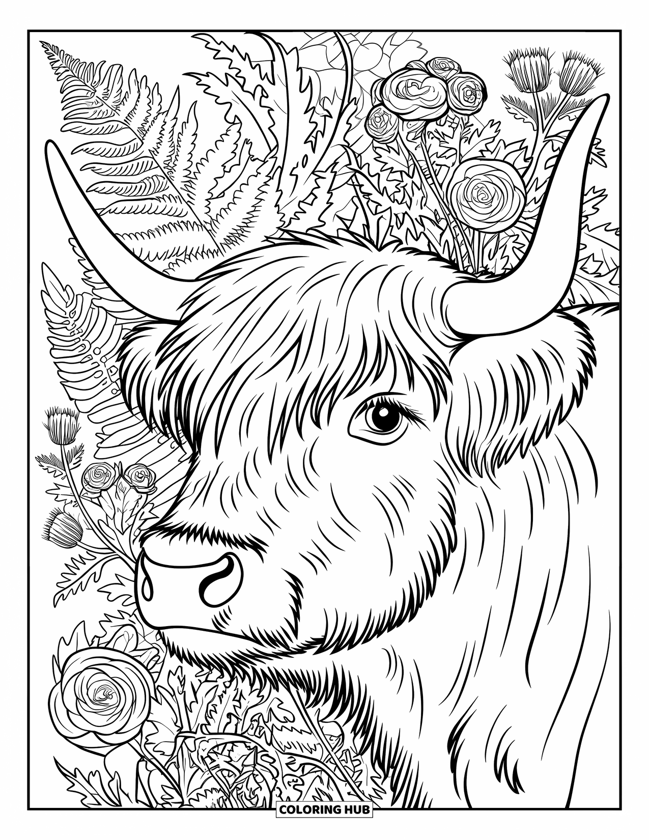 Highland Cow Coloring Page for Adults: A woolly cow's face is framed by roses, ferns, and spiky thistle blooms