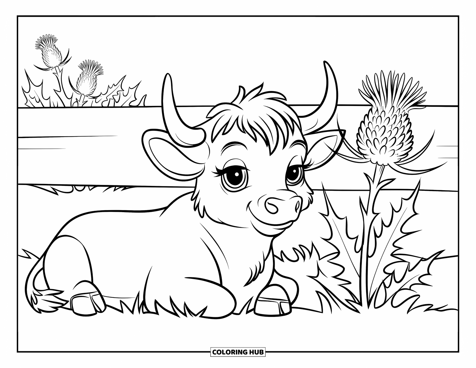 Highland Cow Coloring Page for Kids: A baby cow rests near a fence and a tall Highland thistle in a sunny field