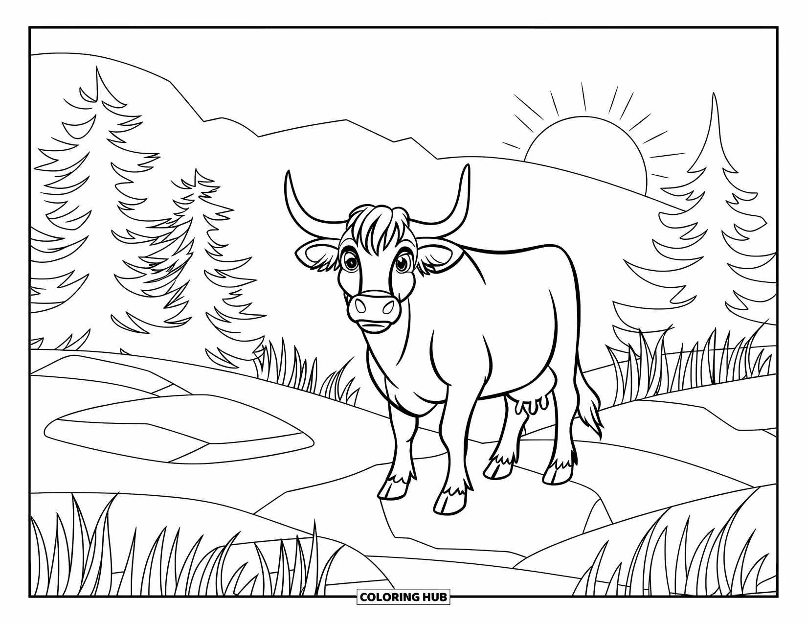 Highland Cow Coloring Page for Kids: A cow stands on rocks as the sun rises over a meadow of pine trees