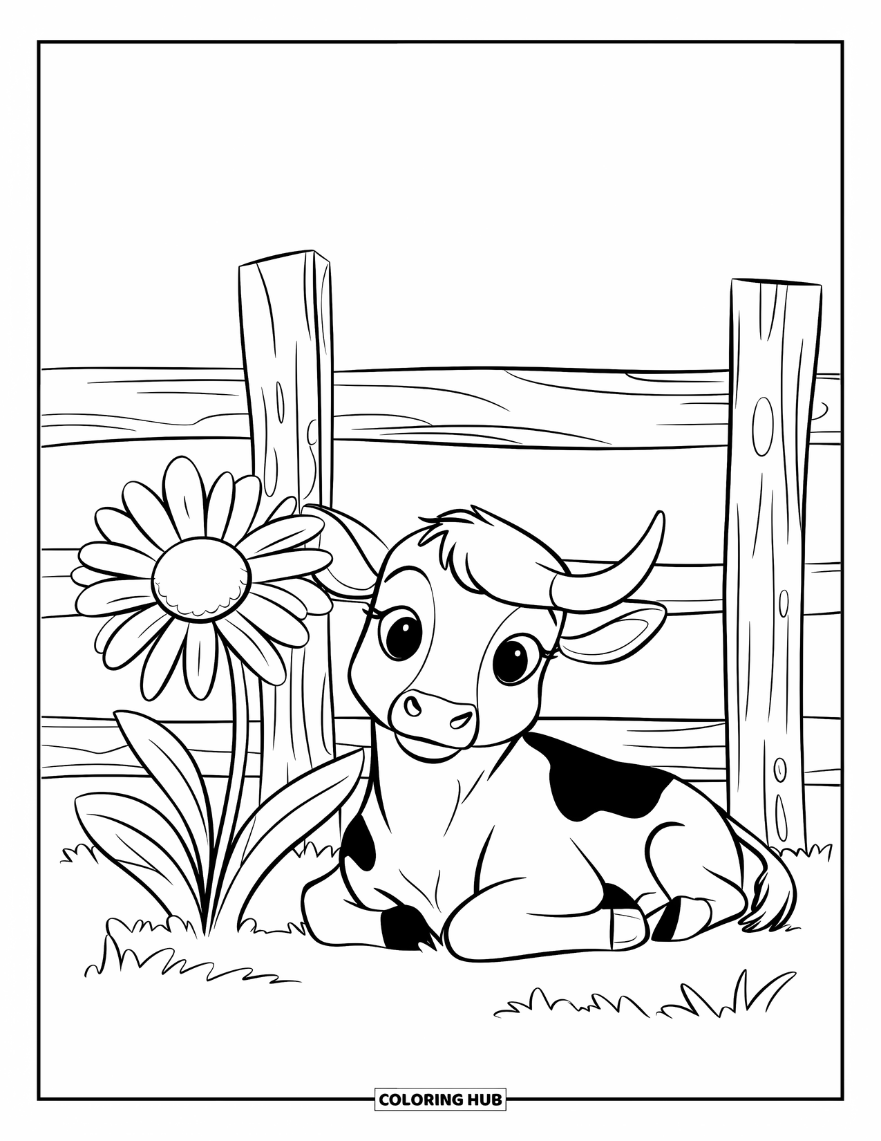 Highland Cow Coloring Page for Kids: A cute calf with spots lies near a big daisy and a wooden fence