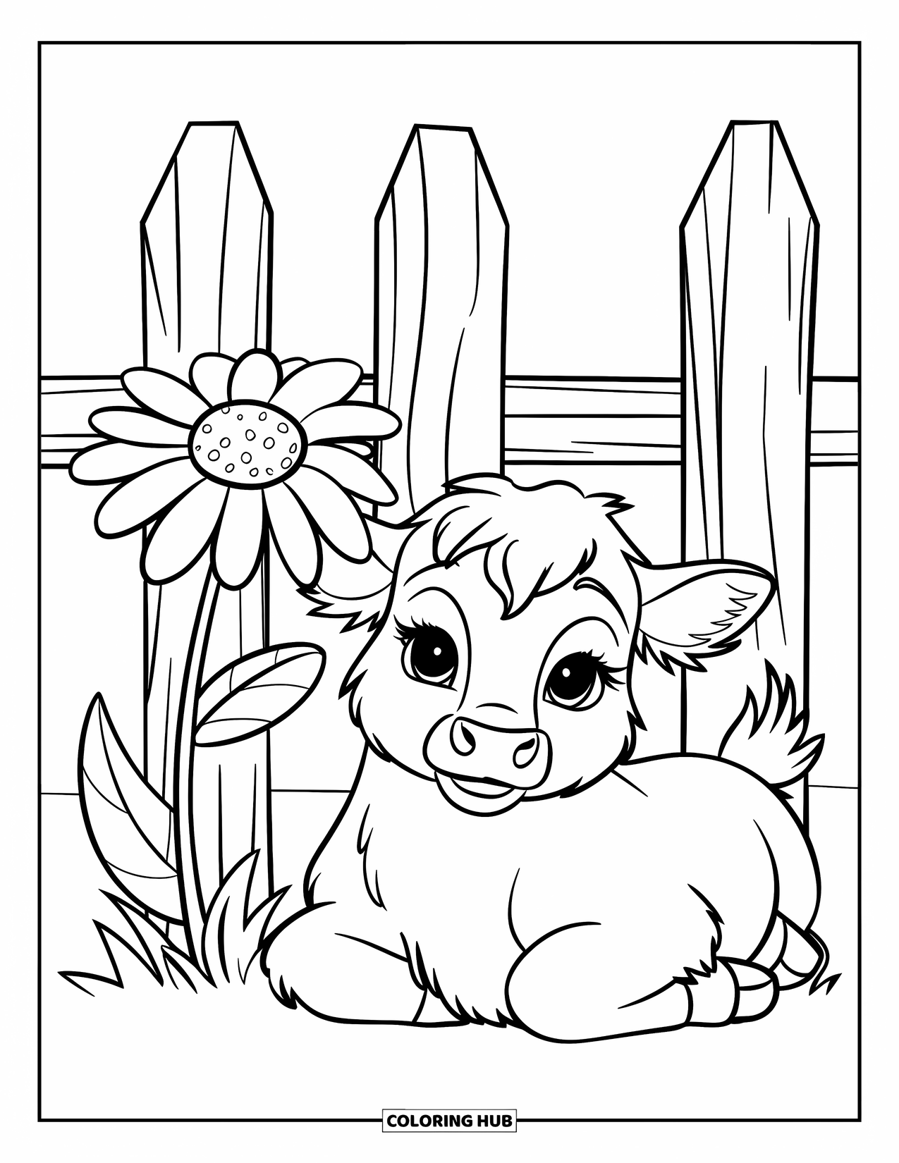 Highland Cow Coloring Page for Kids: A fluffy calf with big eyes lies beside a daisy and wooden fence in a field
