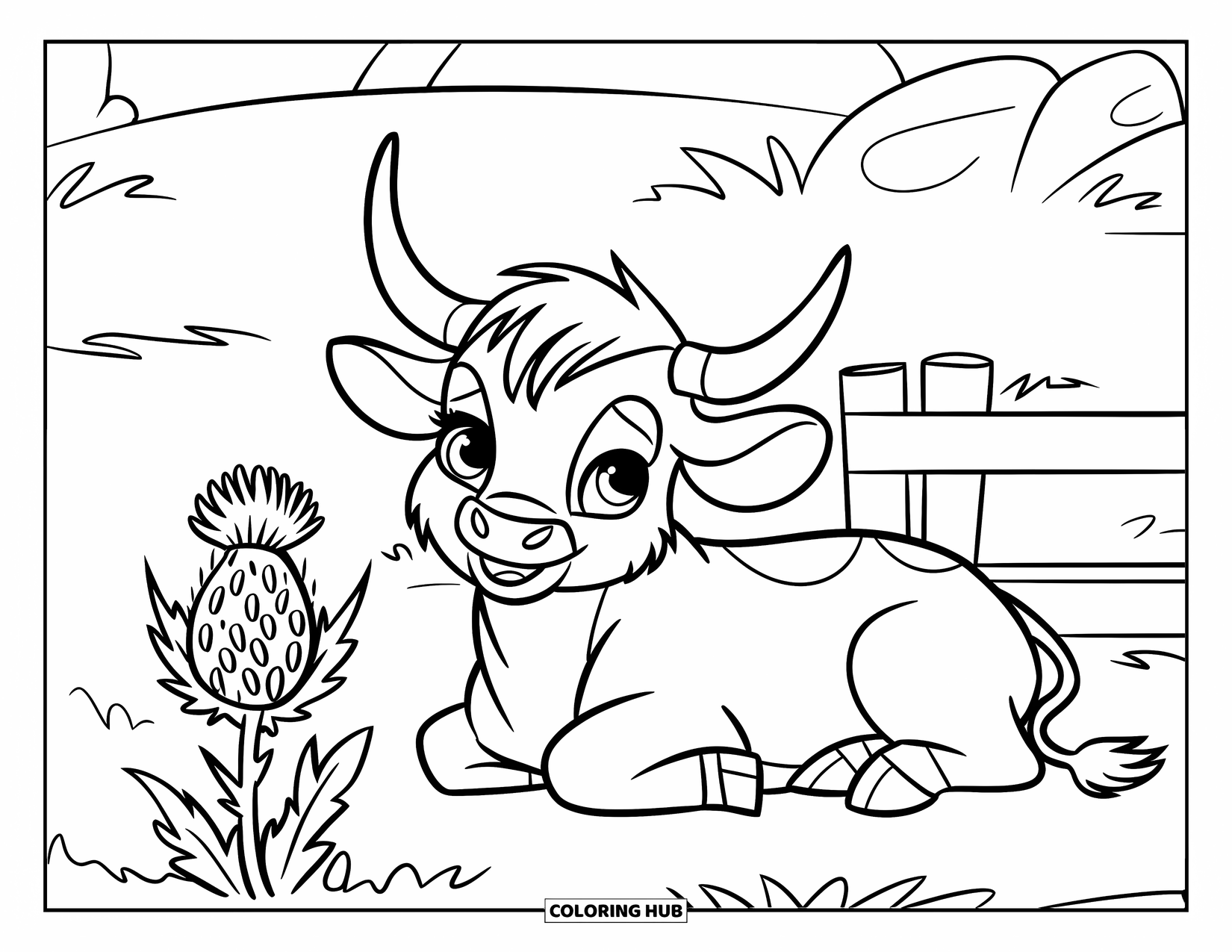 Highland Cow Coloring Page for Kids: A playful calf rests near a fence and a purple thistle on a grassy patch