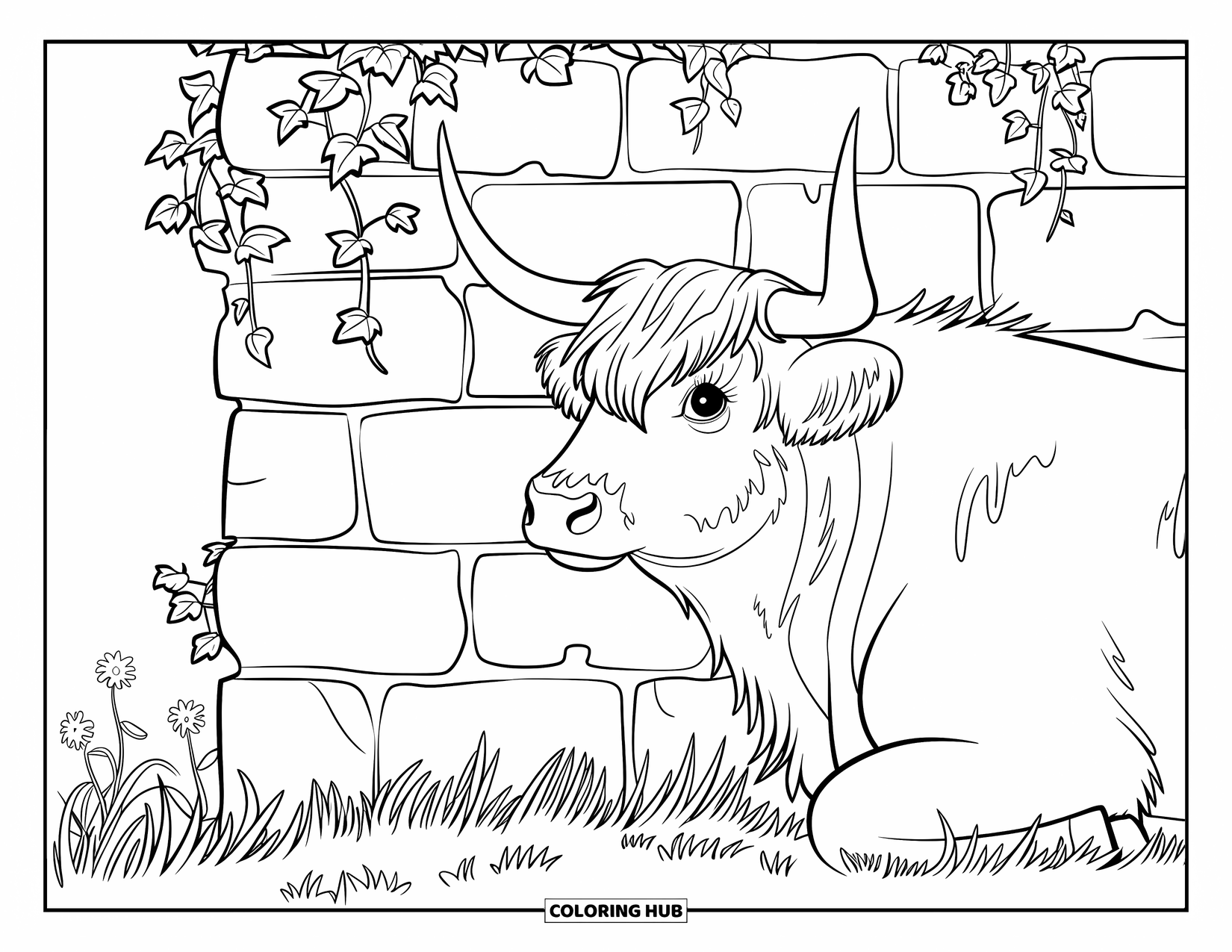 Highland Cow Coloring Page for Kids: A resting cow with patches lies near a rough stone wall covered in ivy
