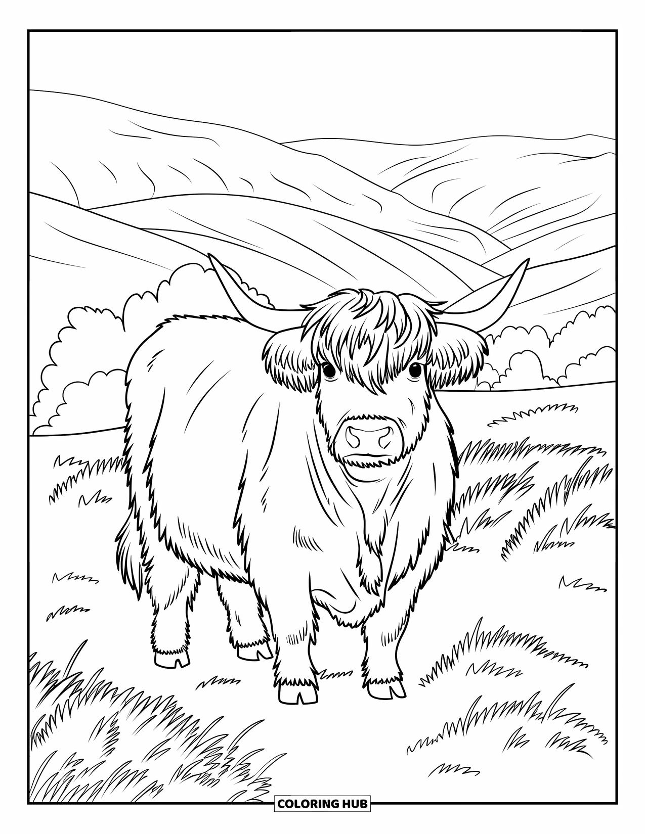 Highland Cow Coloring Page for Kids: A shaggy cow stands in a meadow filled with heather and rolling Scottish hills