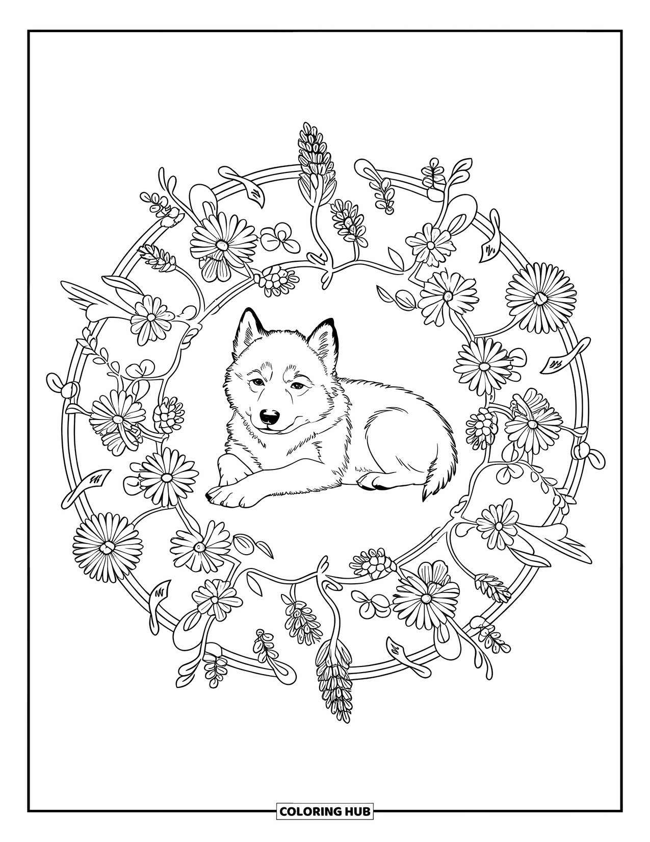 Husky Puppy Coloring Page for Adults: Husky sleeps in a floral mandala of alpine blooms and vines