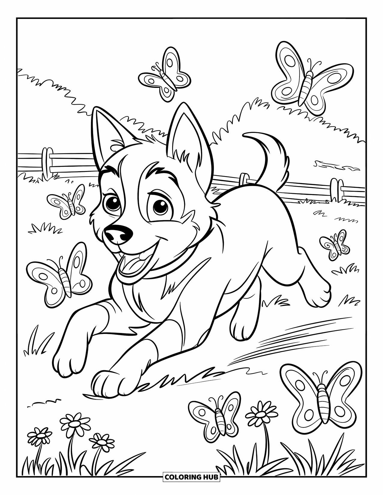 Husky Puppy Coloring Page for Kids: Fluffy pup runs after butterflies near a fence and blooming meadow