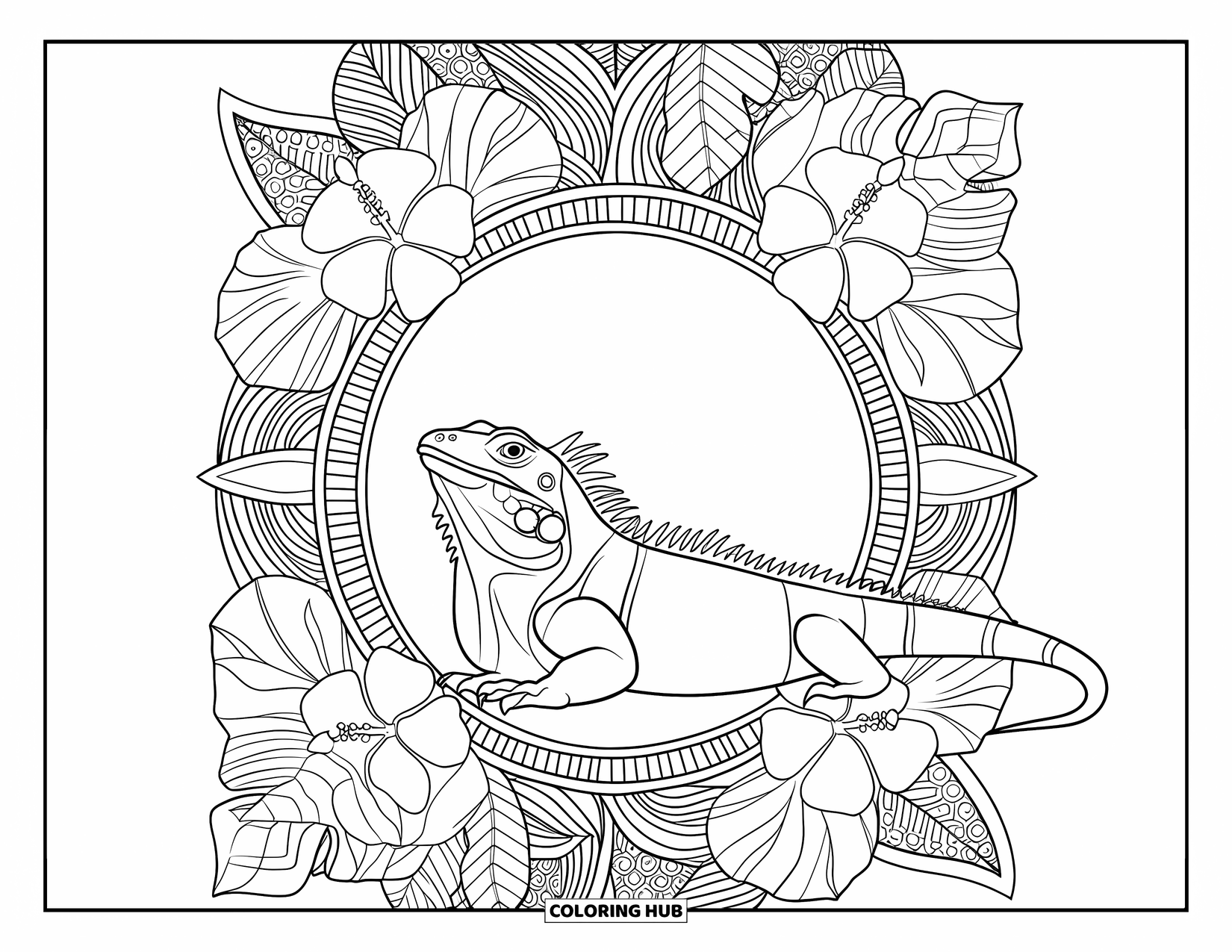Iguana Coloring Page for Adults: Iguana is framed by a full-page tropical floral mandala with bold outlines
