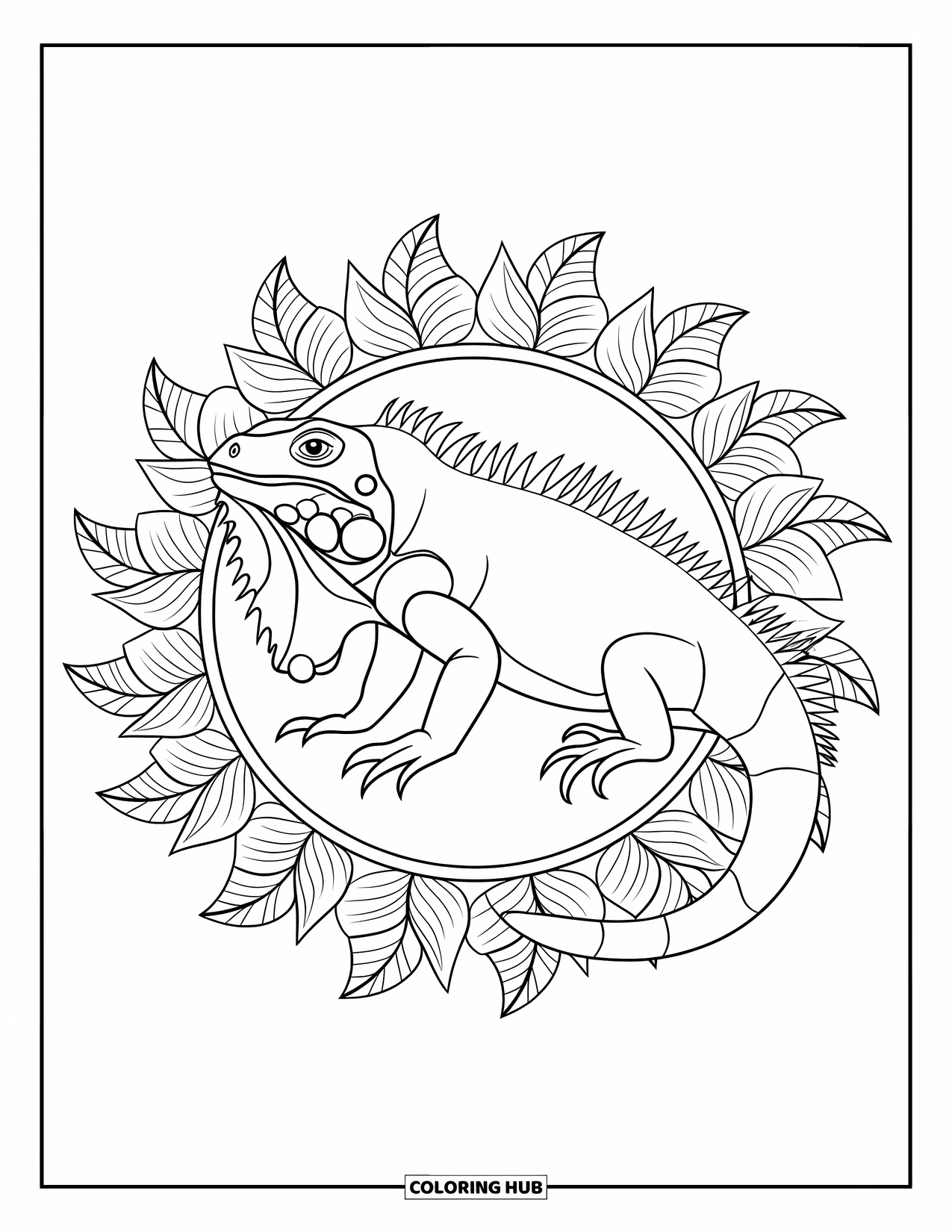 Iguana Coloring Page for Adults: Iguana is surrounded by a round tropical mandala with bold outlines