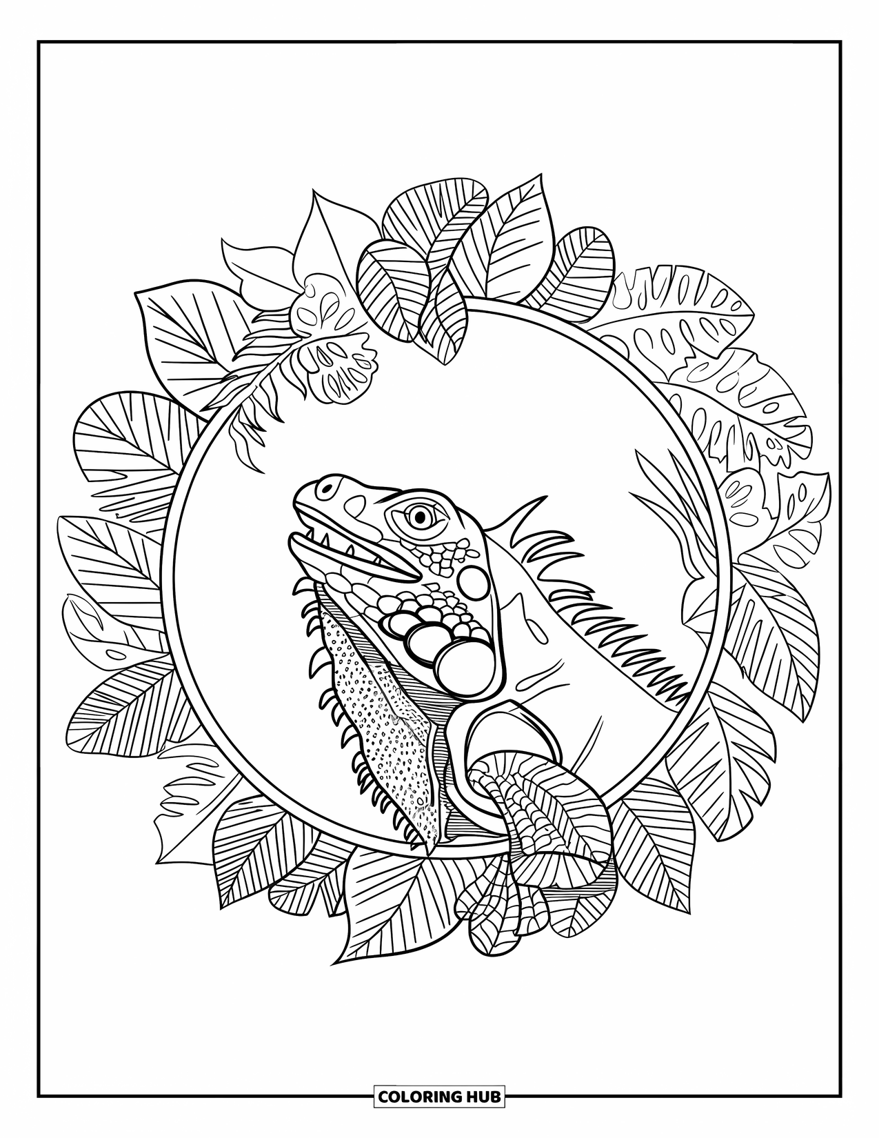 Iguana Coloring Page for Adults: Iguana with open mouth is framed by patterned jungle leaves