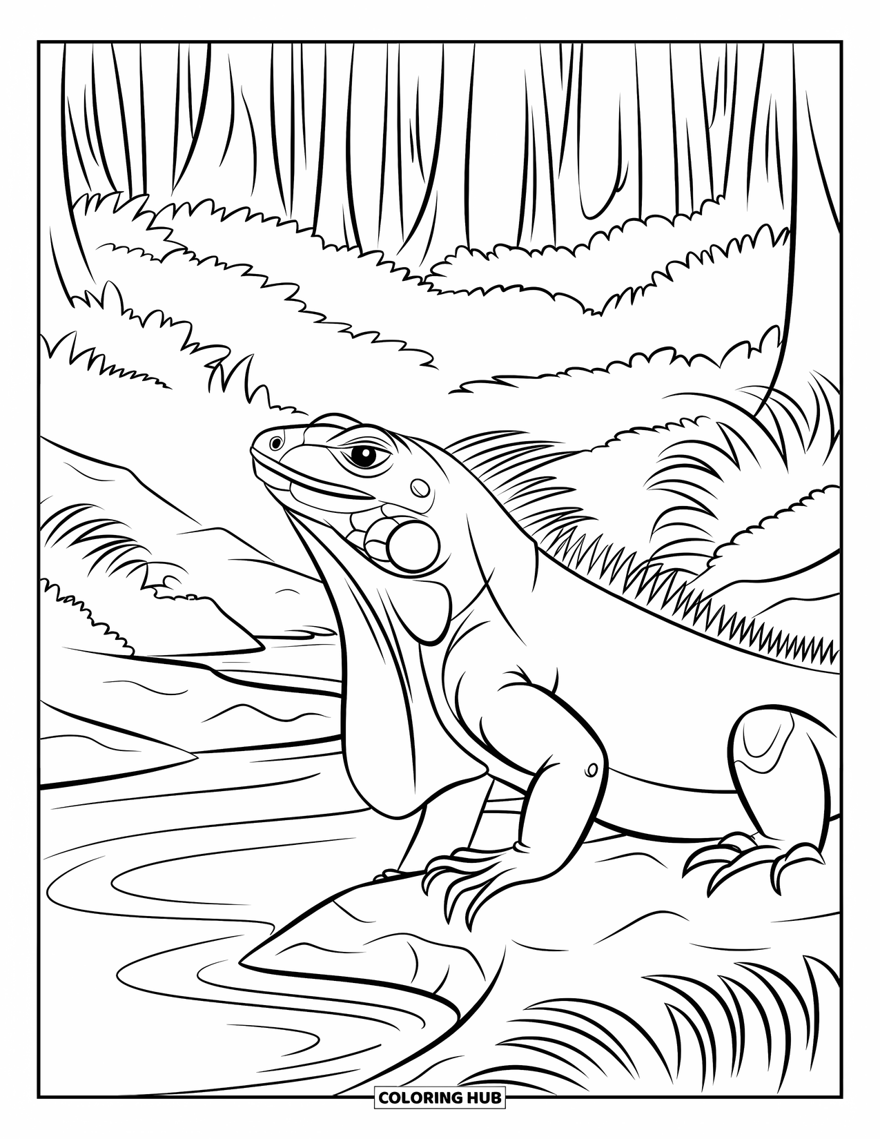 Iguana Coloring Page for Kids: An alert iguana perches on a rock near a lush forest stream