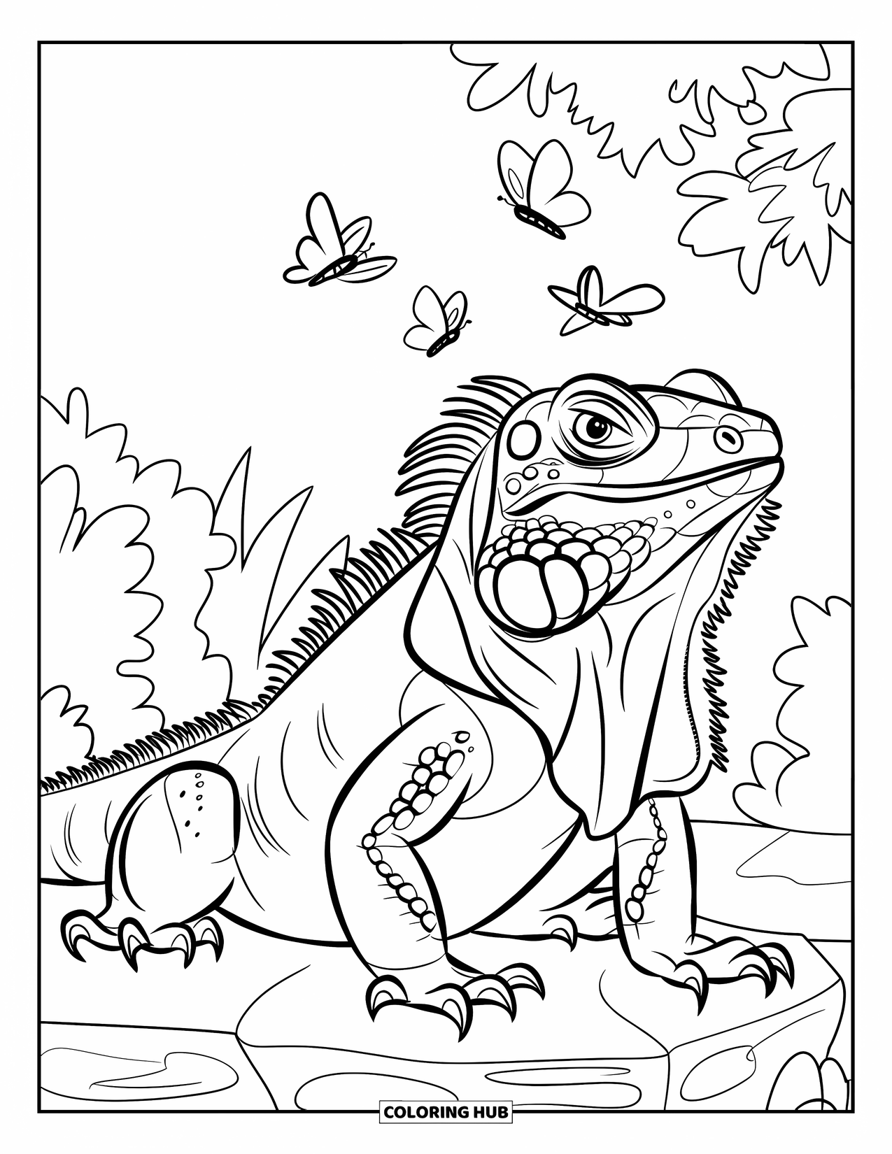 Iguana Coloring Page for Kids: Butterflies fly above a calm iguana on a stone