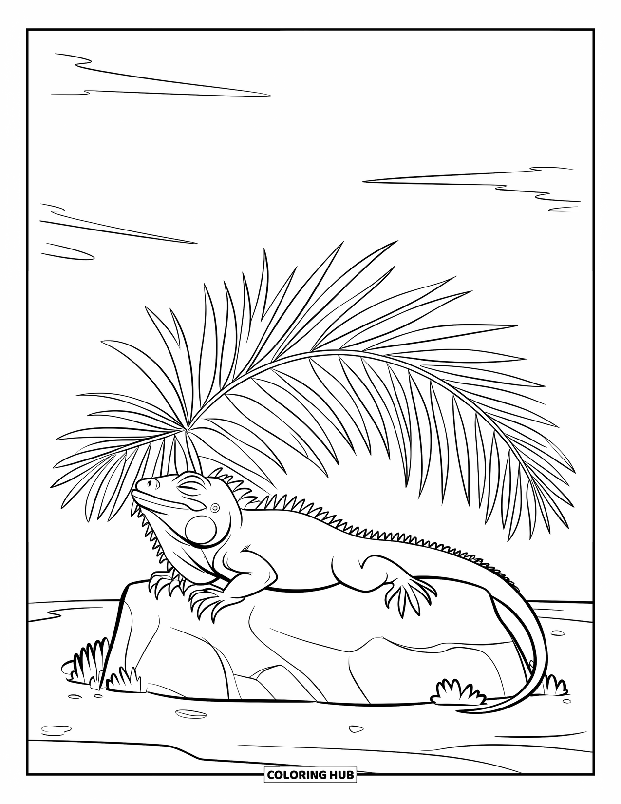 Iguana Coloring Page for Kids: Iguana naps peacefully under sunny sky on a palm-fringed rock