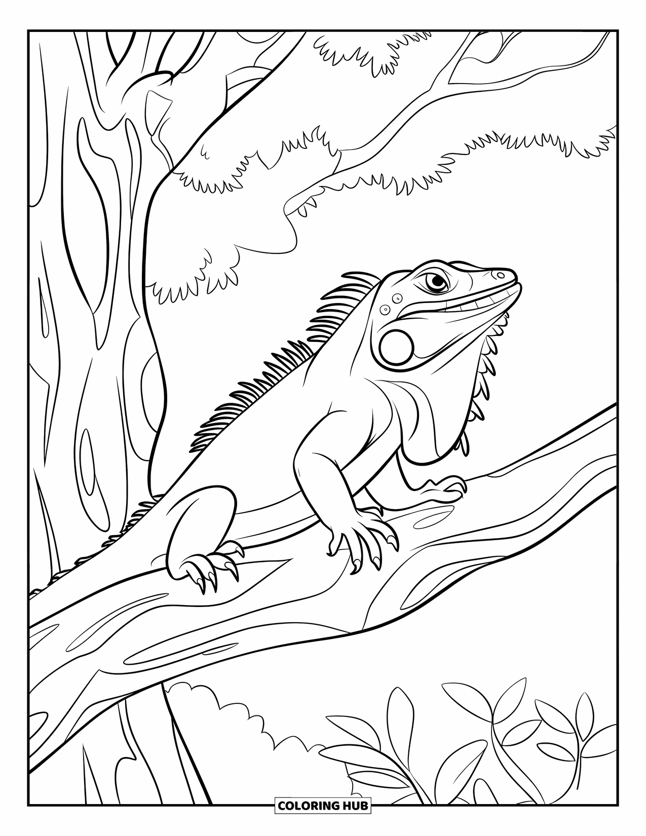 Iguana Coloring Page for Kids: Iguana perches on a branch in a dense, leafy forest