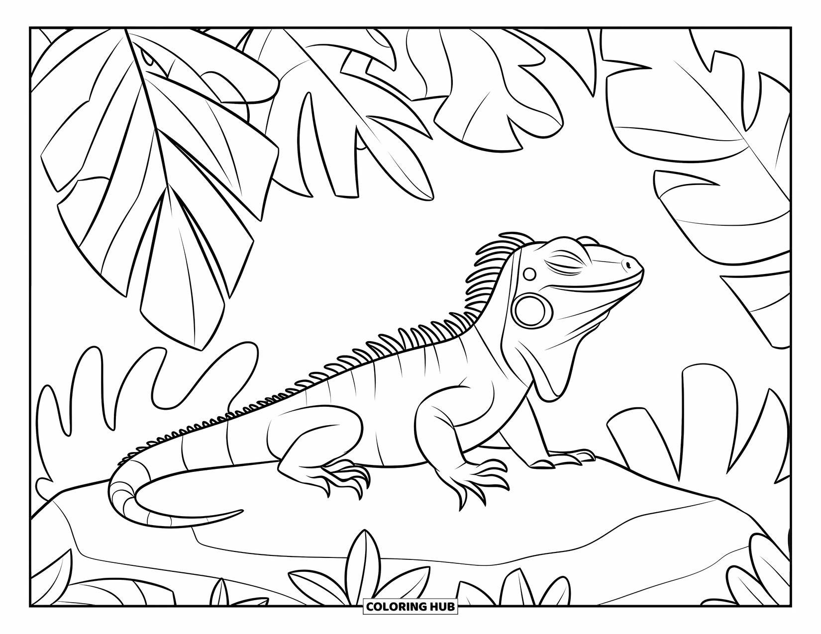 Iguana Coloring Page for Kids: Iguana rests under lush leaves with its eyes closed, soaking in warmth