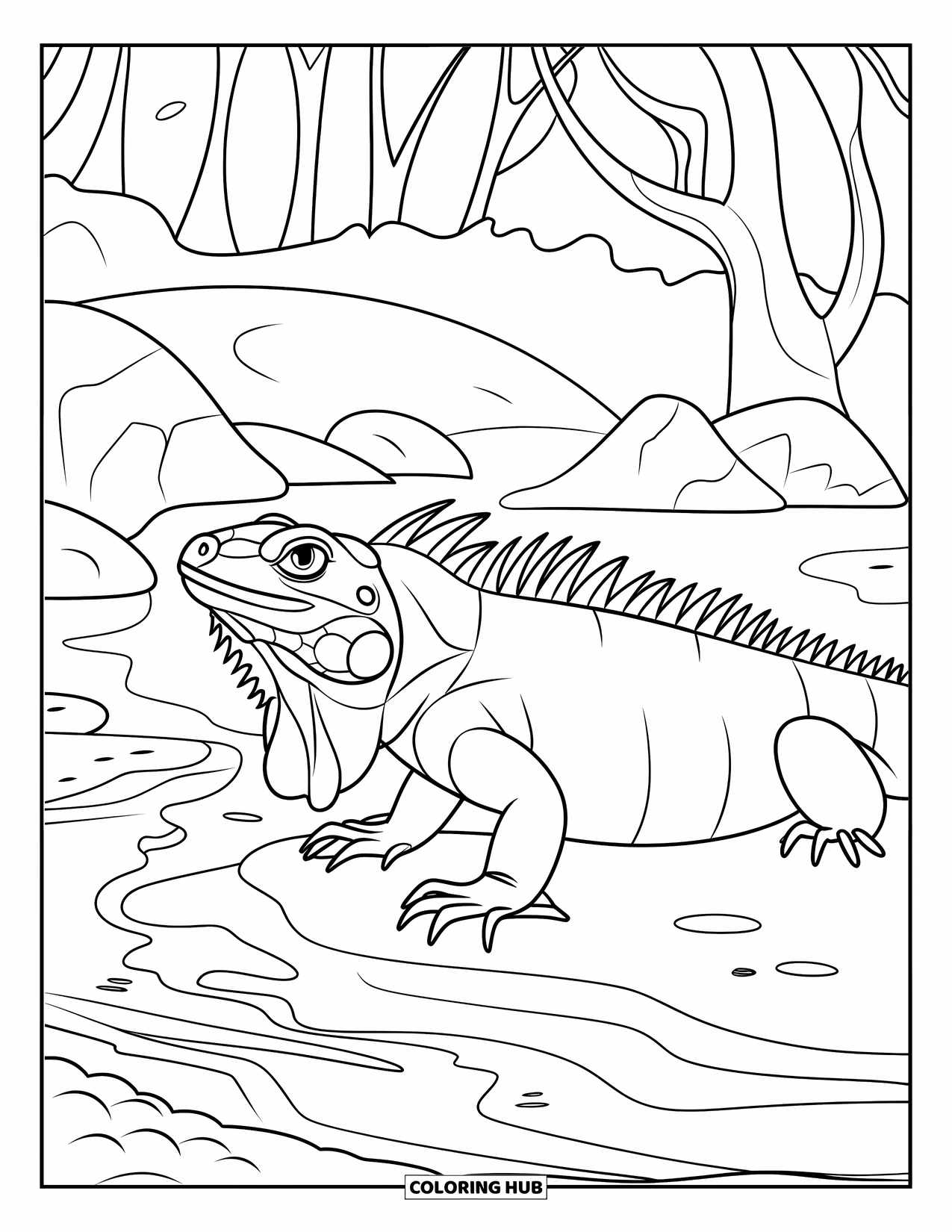 Iguana Coloring Page for Kids: Iguana watches from a rock by a lively stream in the woods
