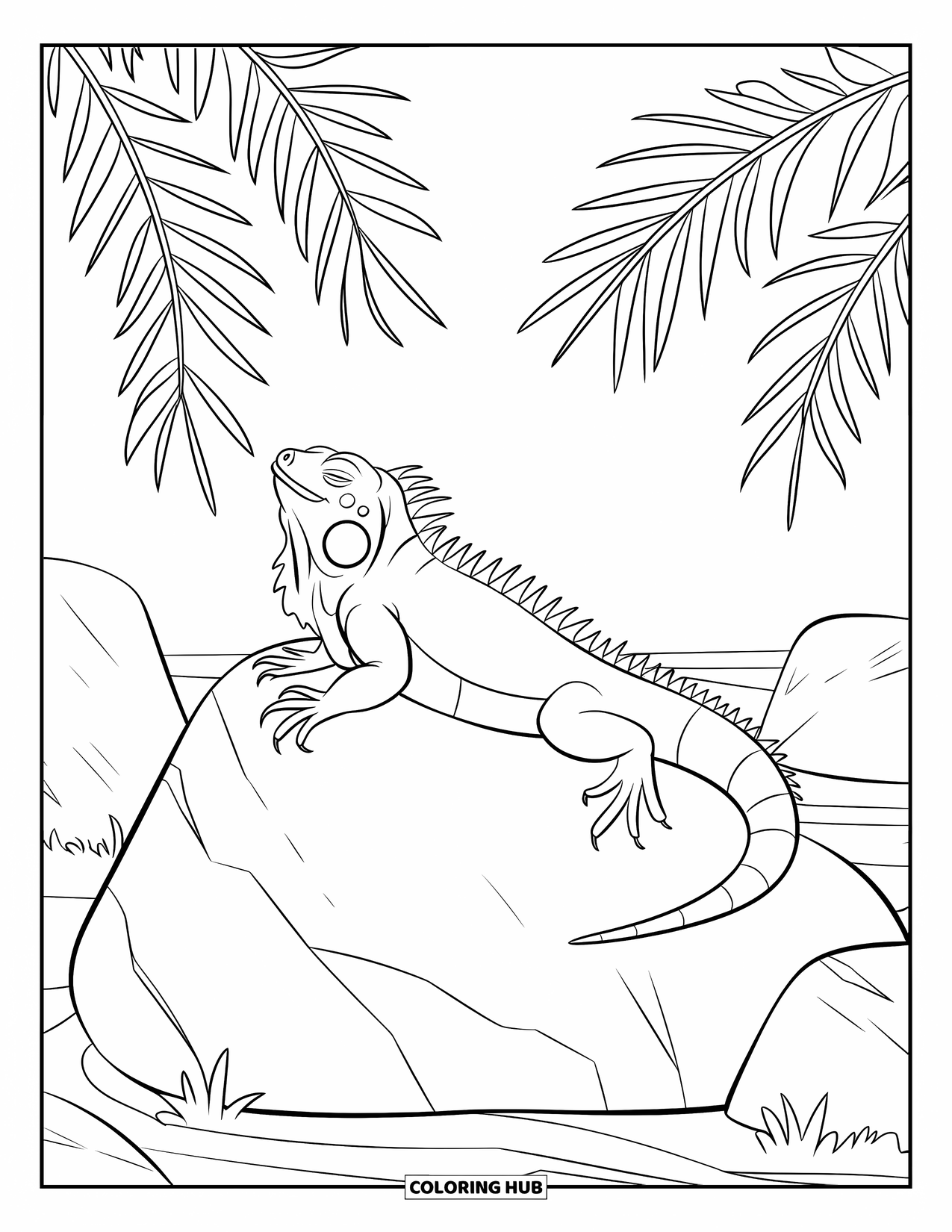 Iguana Coloring Page for Kids: Relaxed iguana rests on a rock surrounded by curving palm leaves