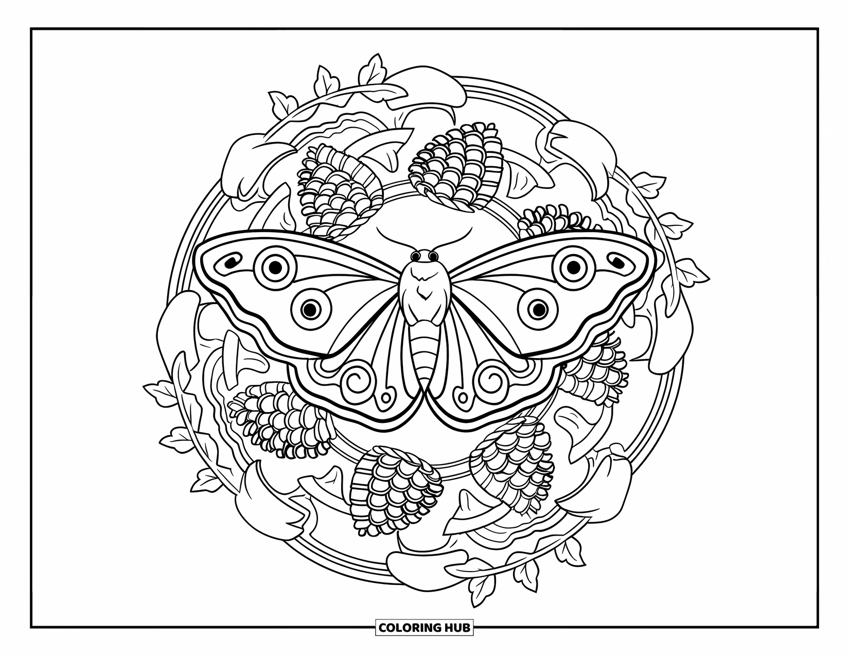 Insects Coloring Page for Adults: A detailed moth rests in a mandala made of mushrooms, ivy, and pinecones