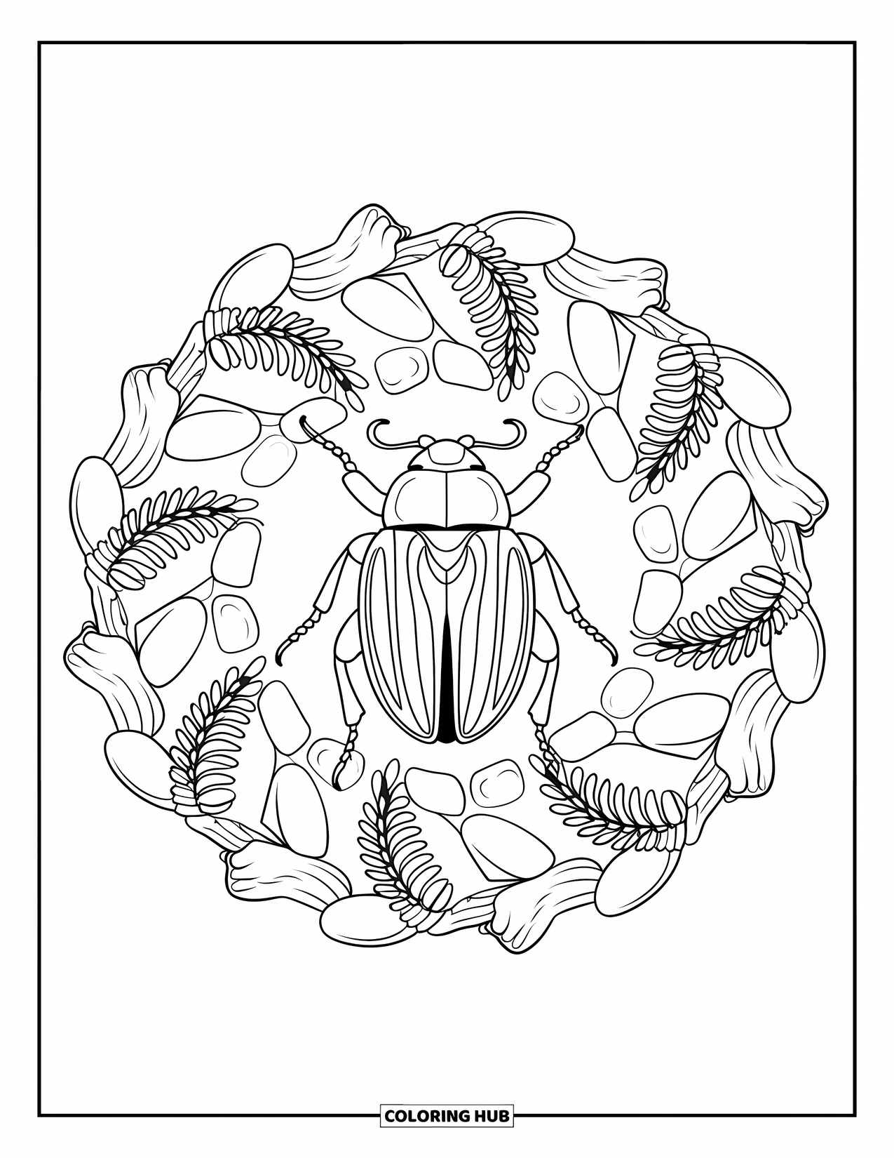 Insects Coloring Page for Adults: Mandala of curled ferns, bark, and pebbles surrounds a beetle in the middle