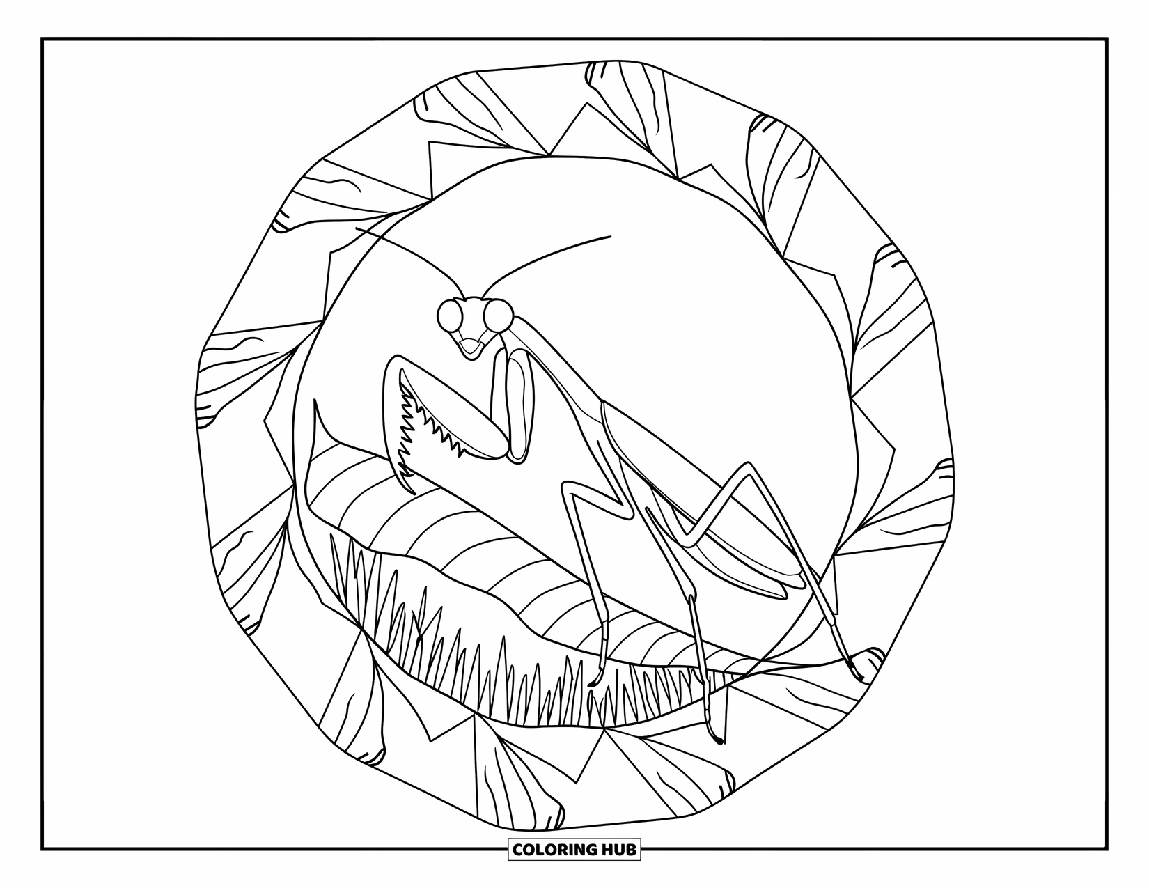 Insects Coloring Page for Adults: Praying mantis sits in a pointed mandala of natural, jagged shapes