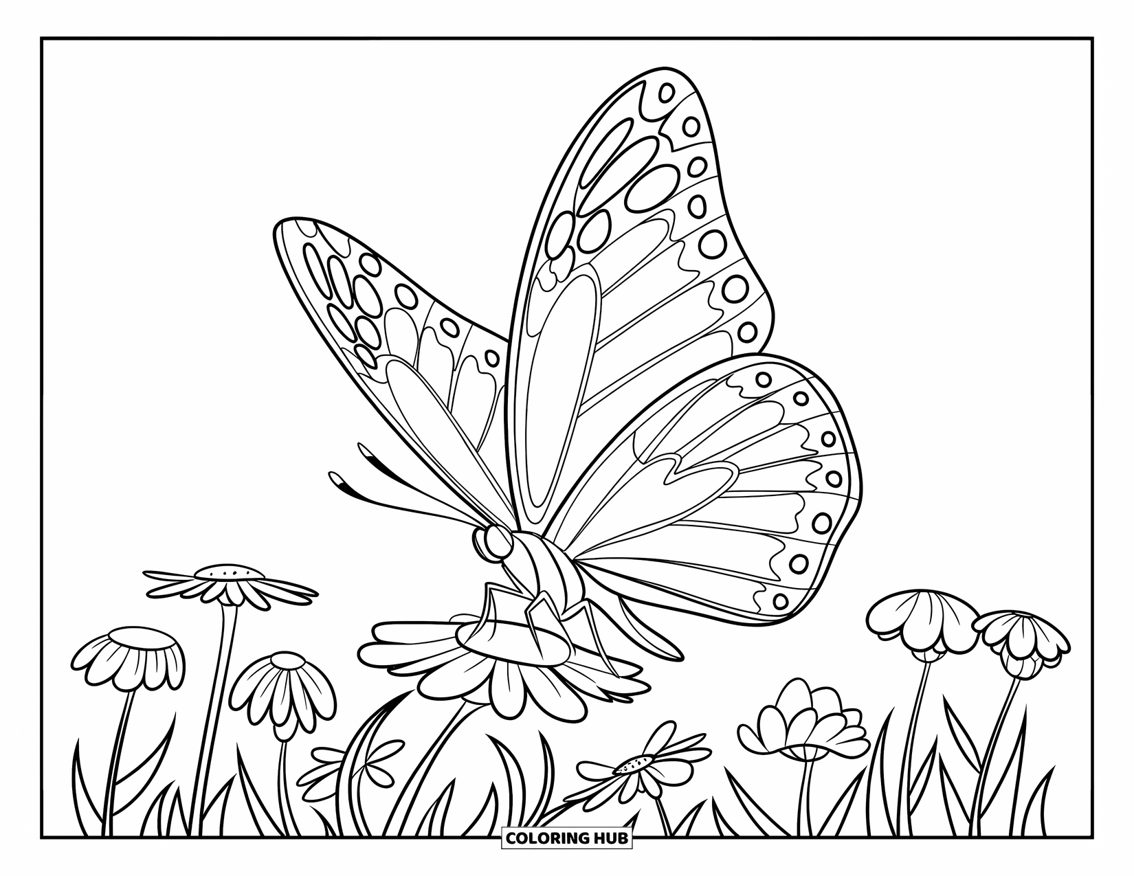 Insects Coloring Page for Kids: A butterfly flutters around blooming wildflowers in the field