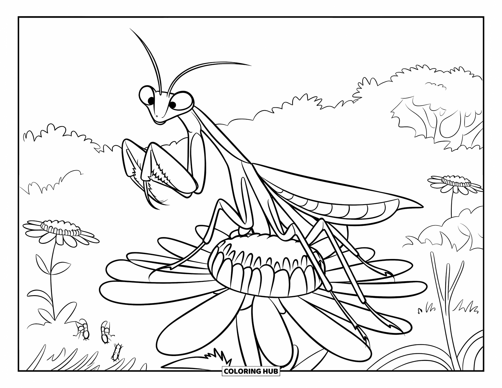 Insects Coloring Page for Kids: A mantis raises its legs while sitting on a blooming flower in a flowery field