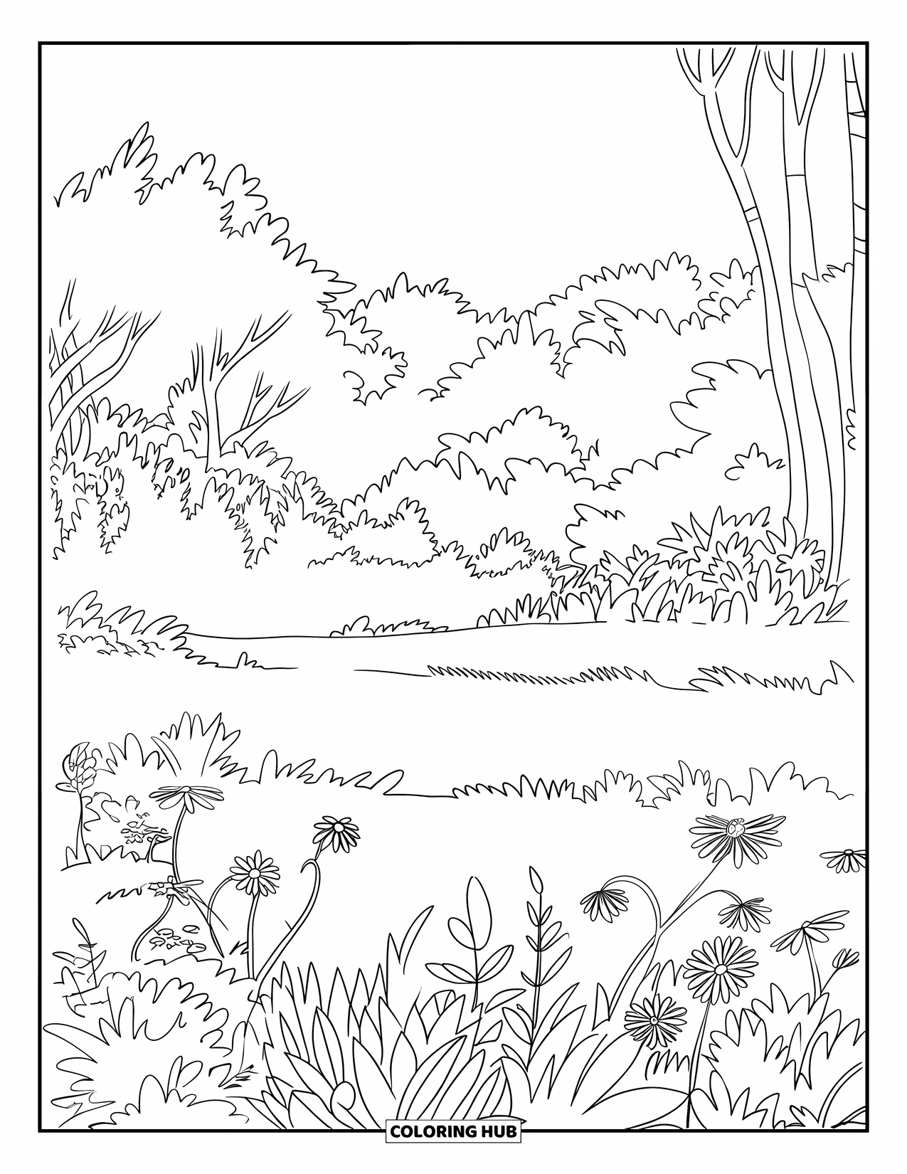 Jungle Coloring Page for Adults: A serene jungle clearing with wildflowers, thick undergrowth, and tall trees