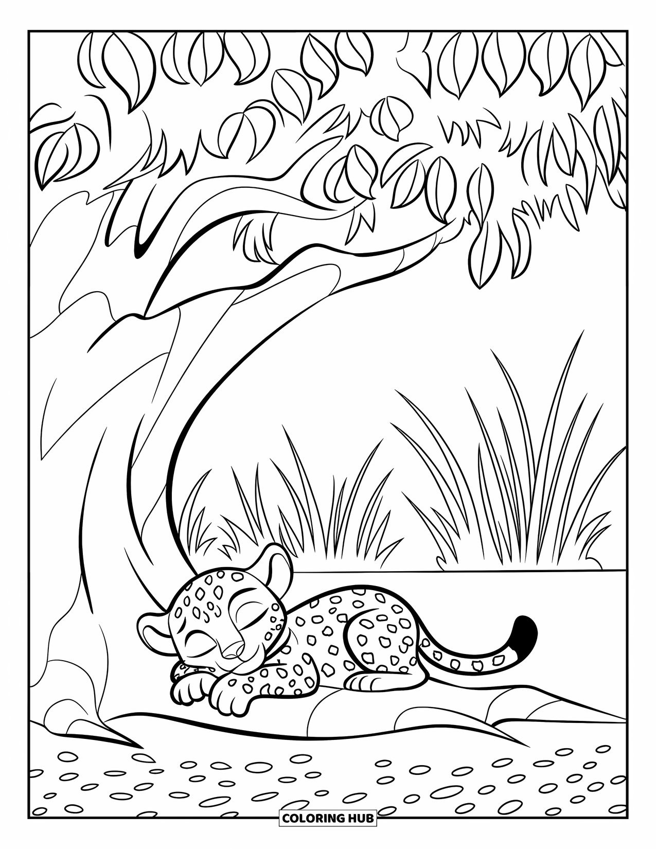 Jungle Coloring Page for Kids: A baby leopard sleeps with tucked paws under a tree on a grassy savannah