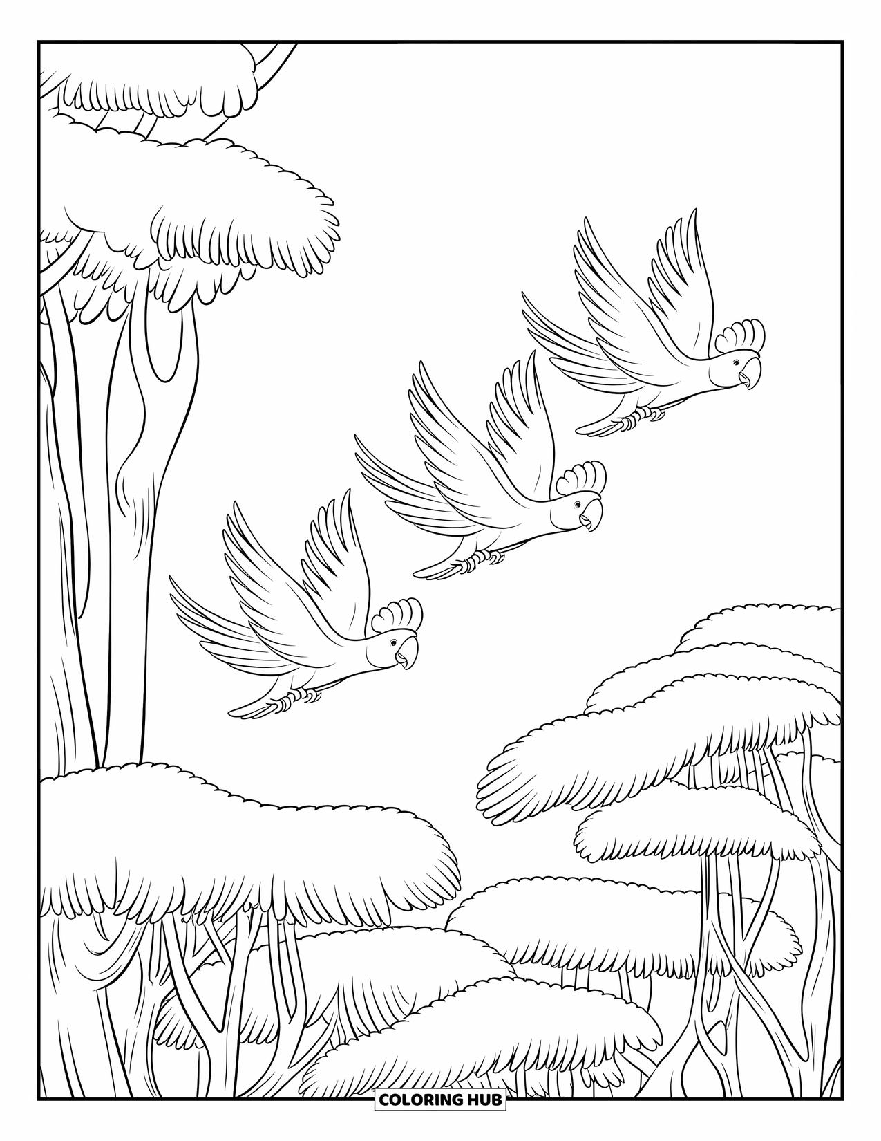 Jungle Coloring Page for Kids: Cockatoo birds fly in a V-formation above a thick jungle canopy