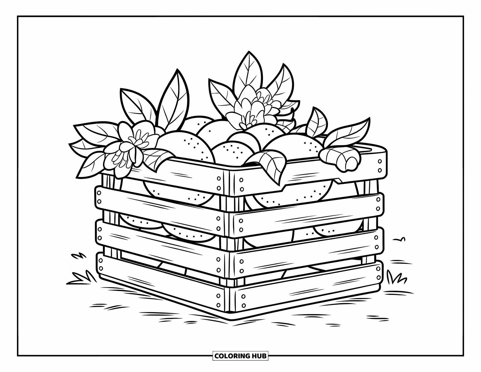 Lemon Coloring Page for Kids: Lemons and blossoms in a handled crate on white ground