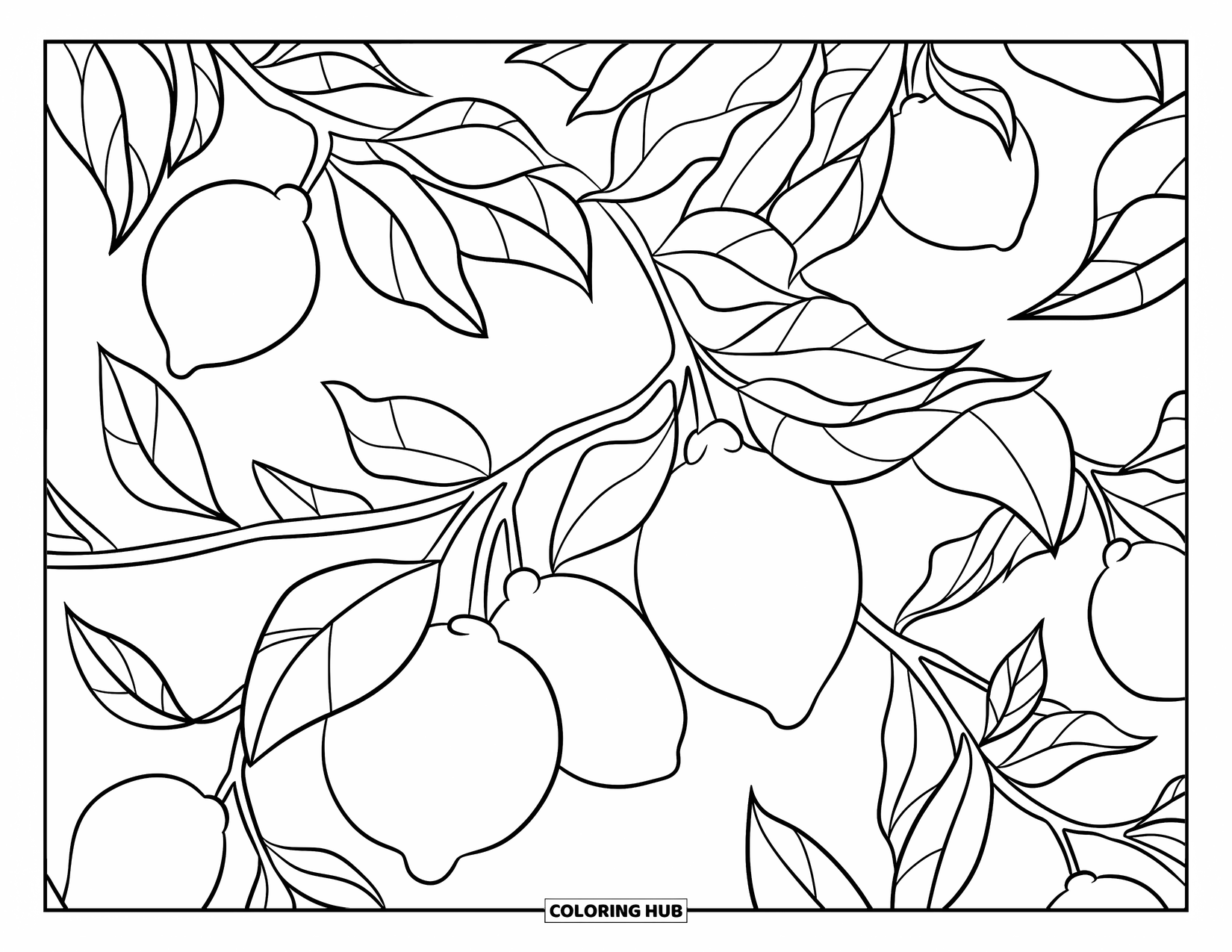 Lemon Coloring Page for Kids: Tree with big lemons and leaves, simple and fun