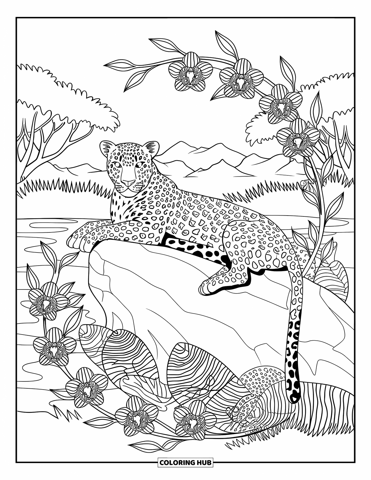 Leopard Coloring Page for Adults: Leopard naps on a rock amid orchids and forest scenery