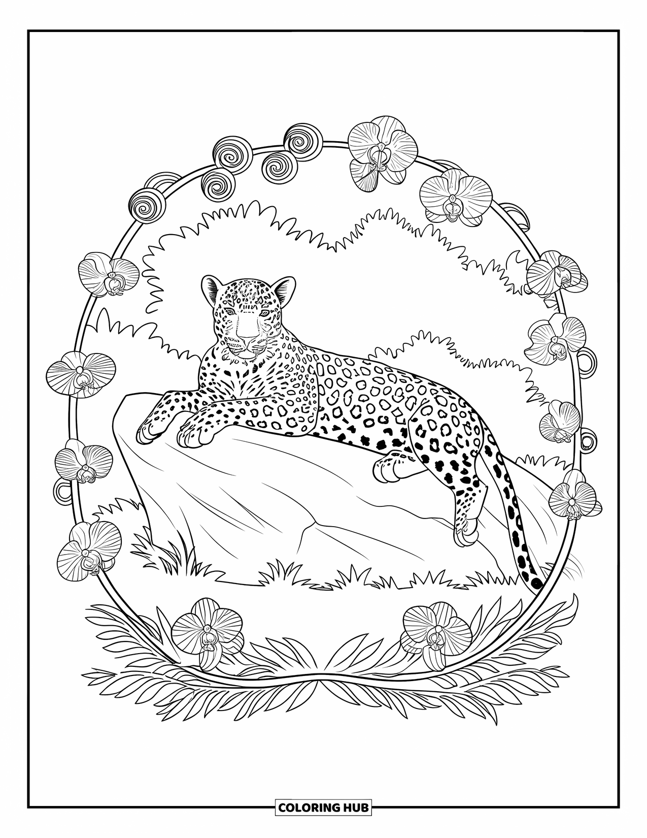 Leopard Coloring Page for Adults: Leopard rests on a rock framed by spiraling orchids and leafy vines