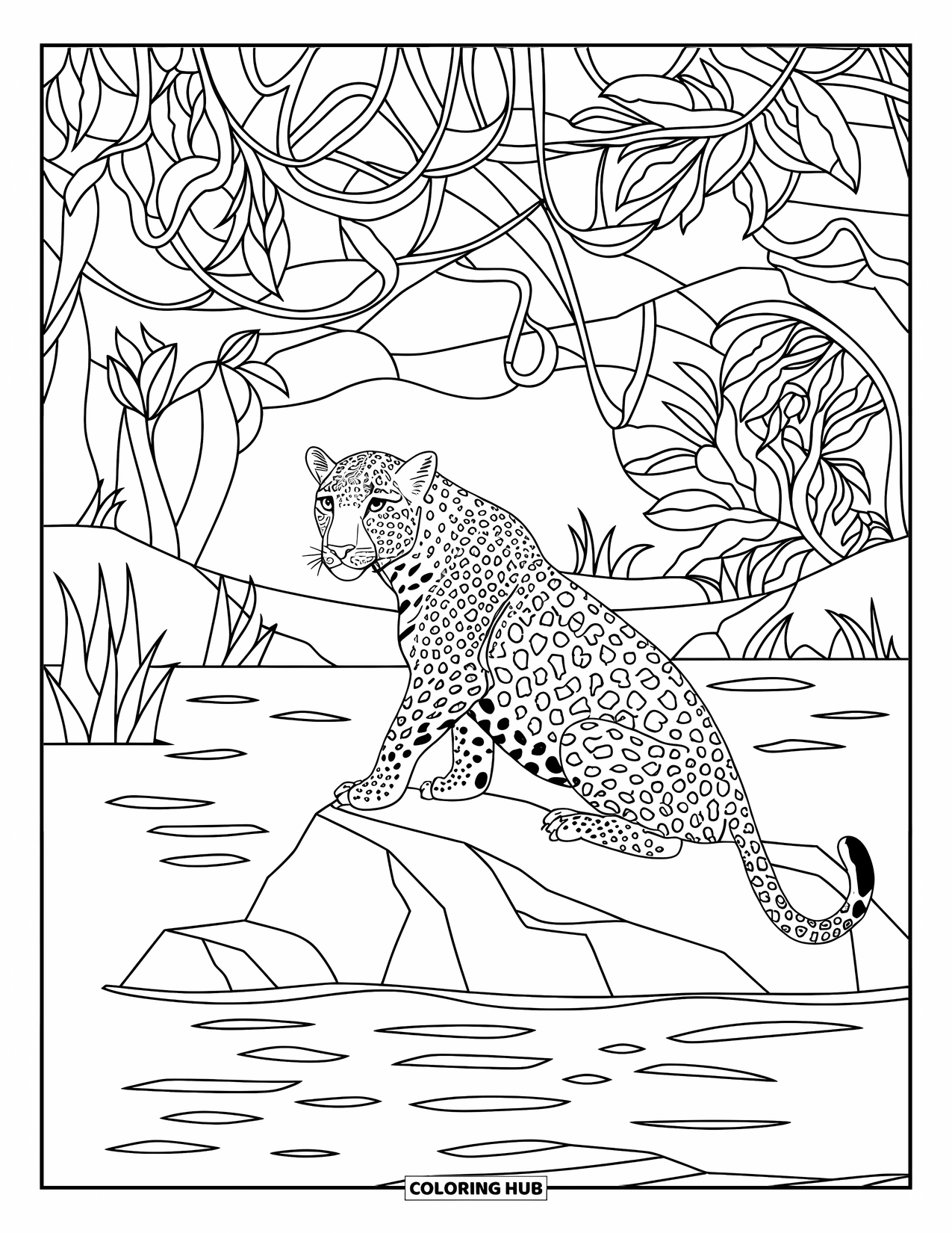 Leopard Coloring Page for Adults: Leopard stares from a rock with stained glass jungle and lake behind