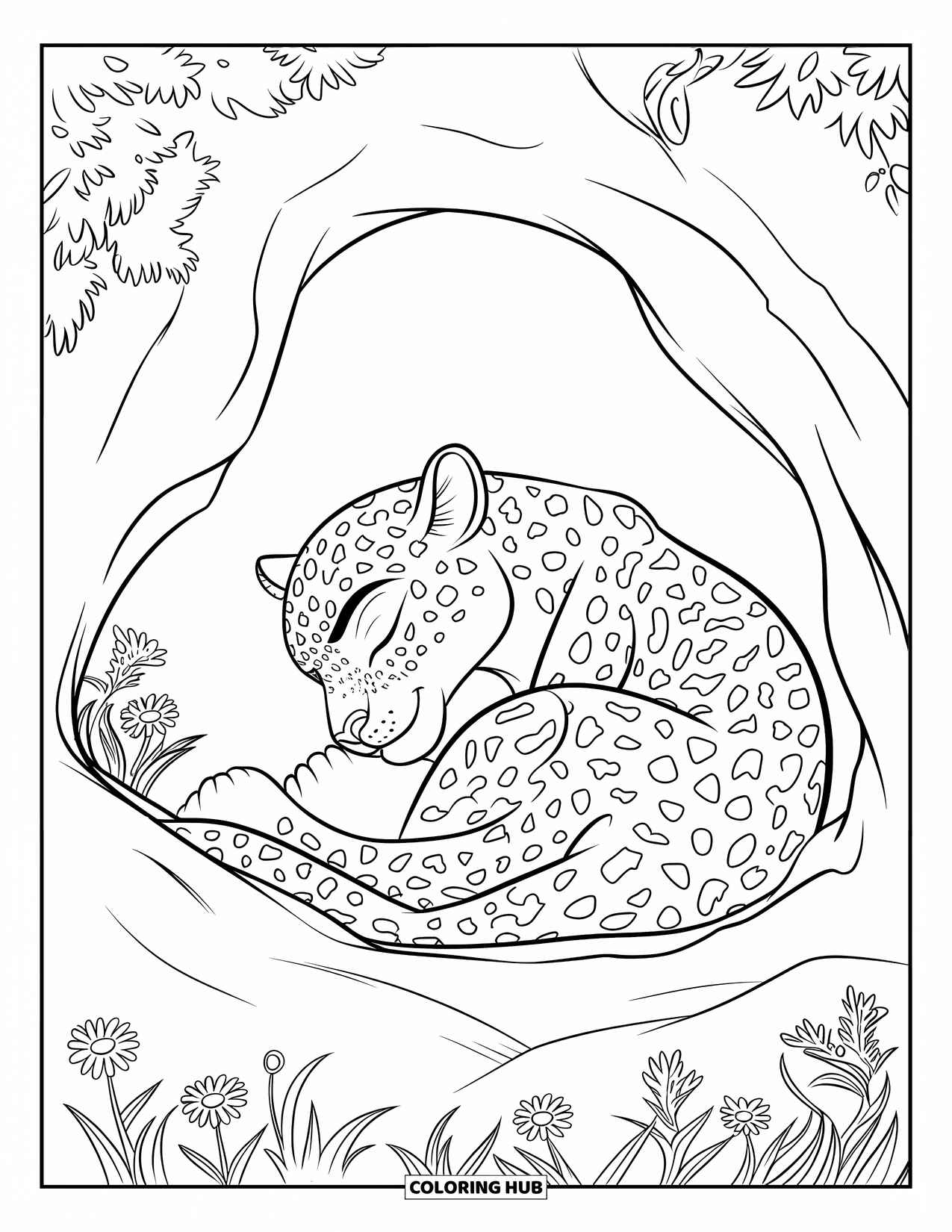 Leopard Coloring Page for Kids: Leopard curls up in a cave with wildflowers growing nearby
